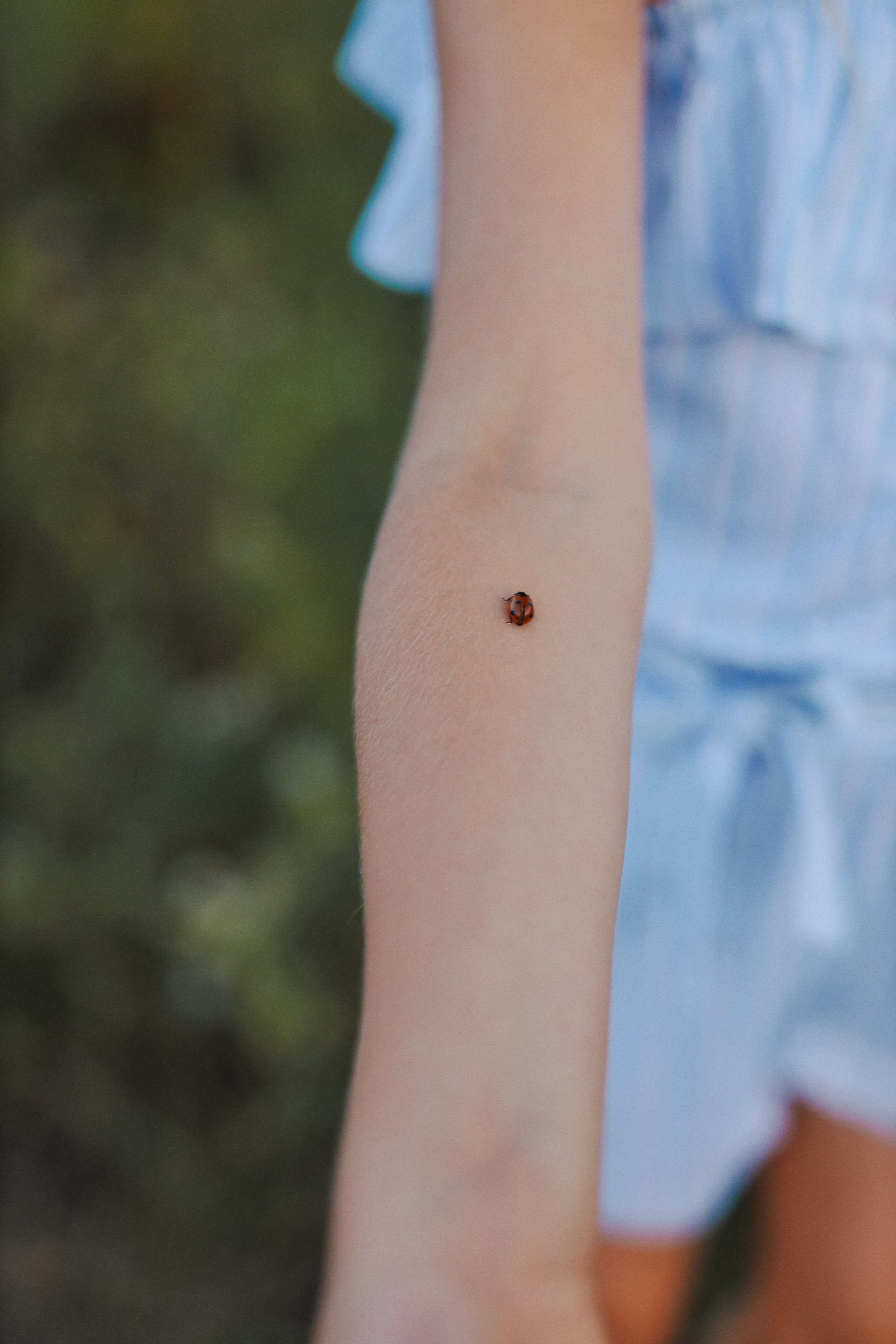 Одним летним вечером. Фотограф Анастасия Пинчук