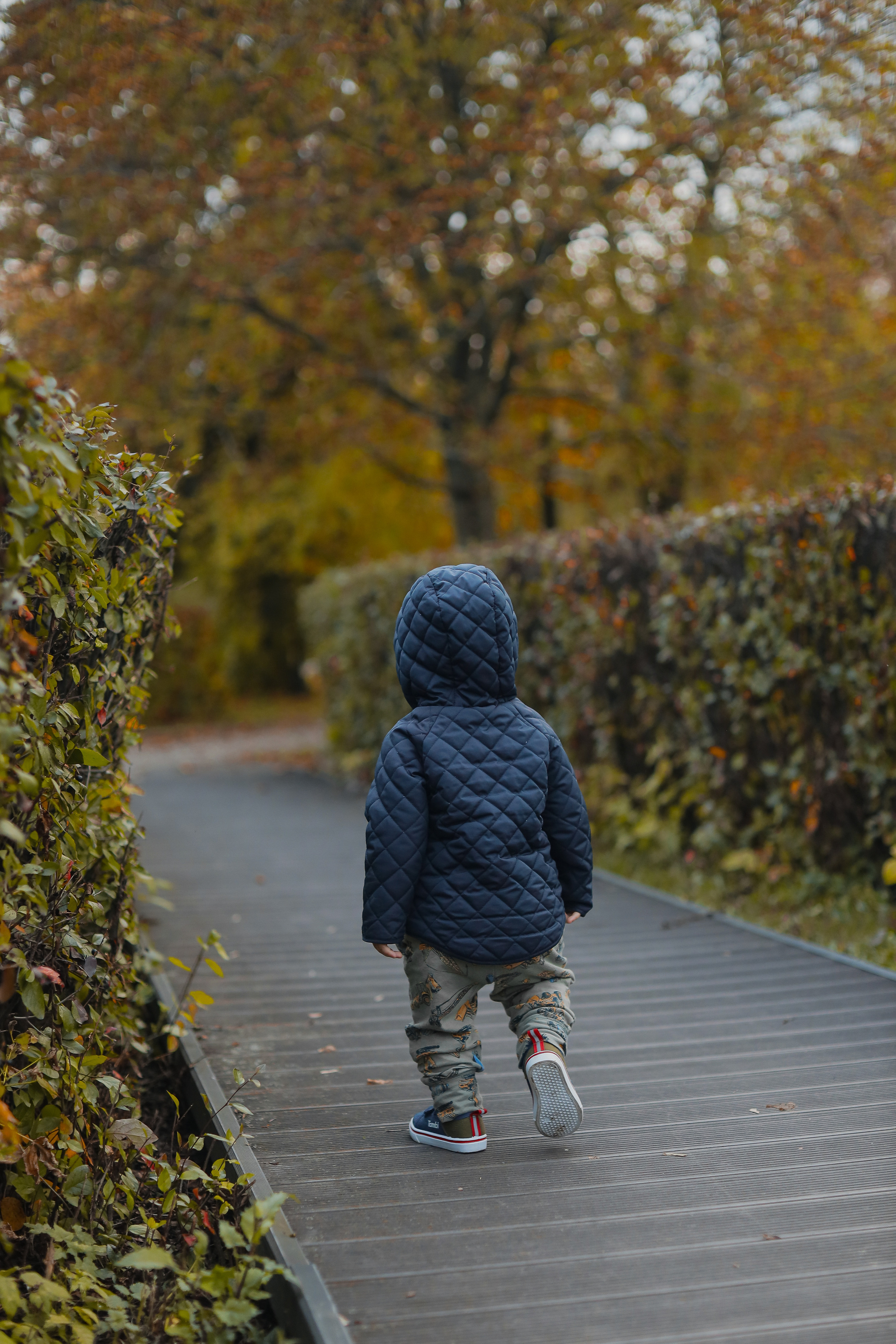 Федор и осень. Фотограф Анастасия Пинчук