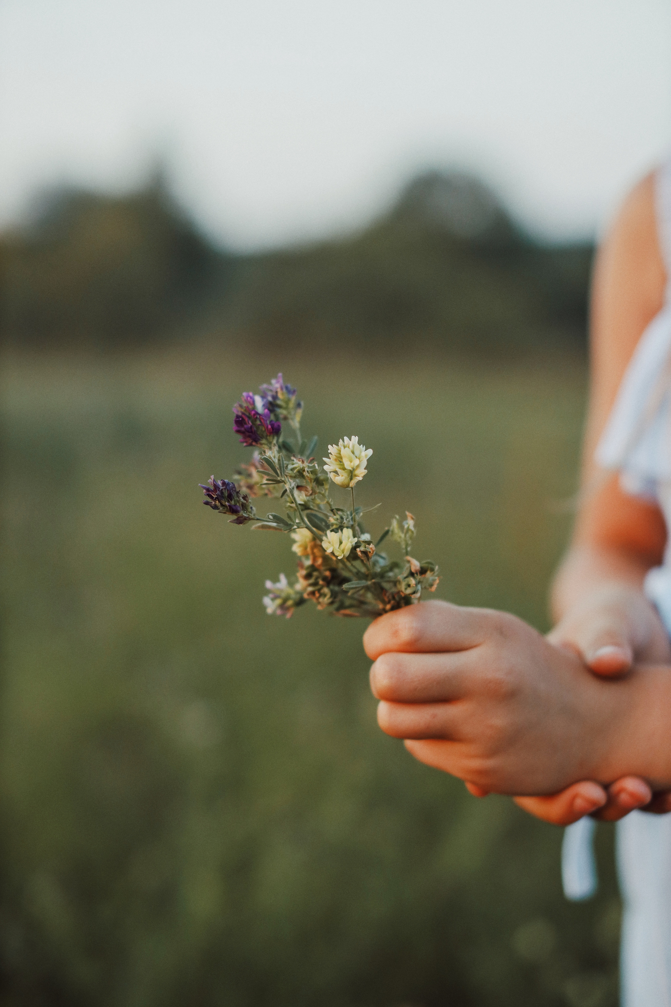 Одним летним вечером. Фотограф Анастасия Пинчук