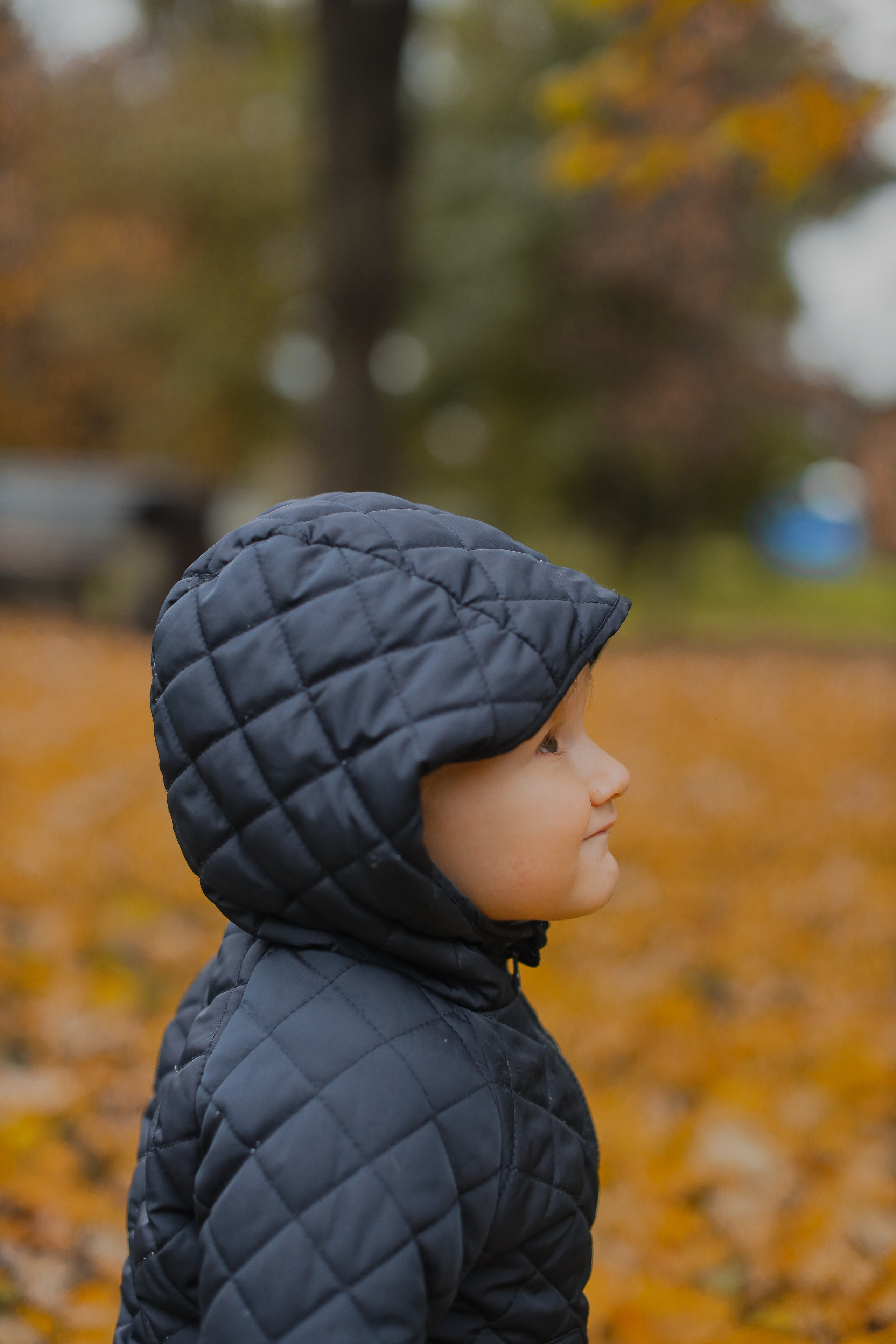 Федор и осень. Фотограф Анастасия Пинчук