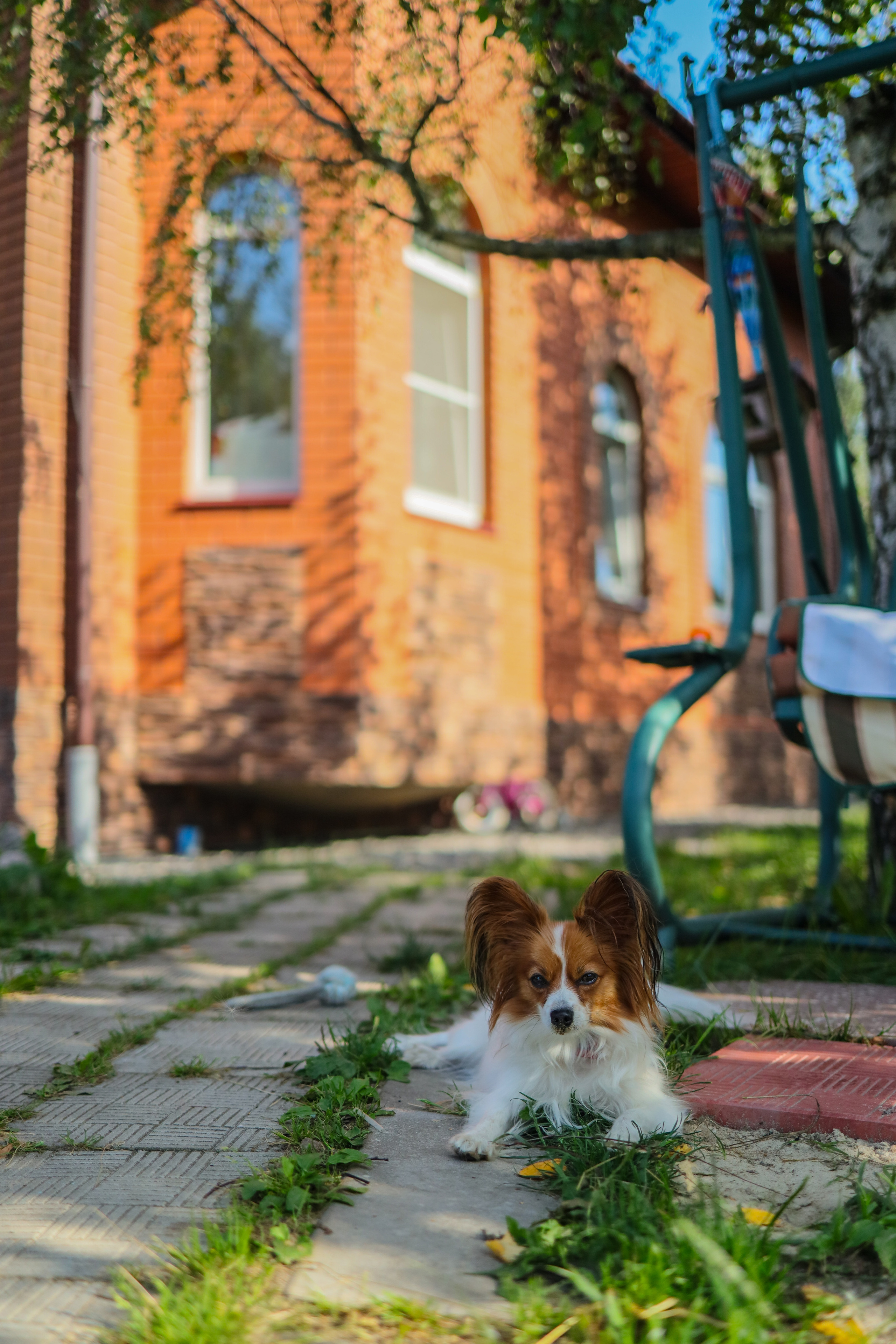 Феде 4. Фотограф Анастасия Пинчук