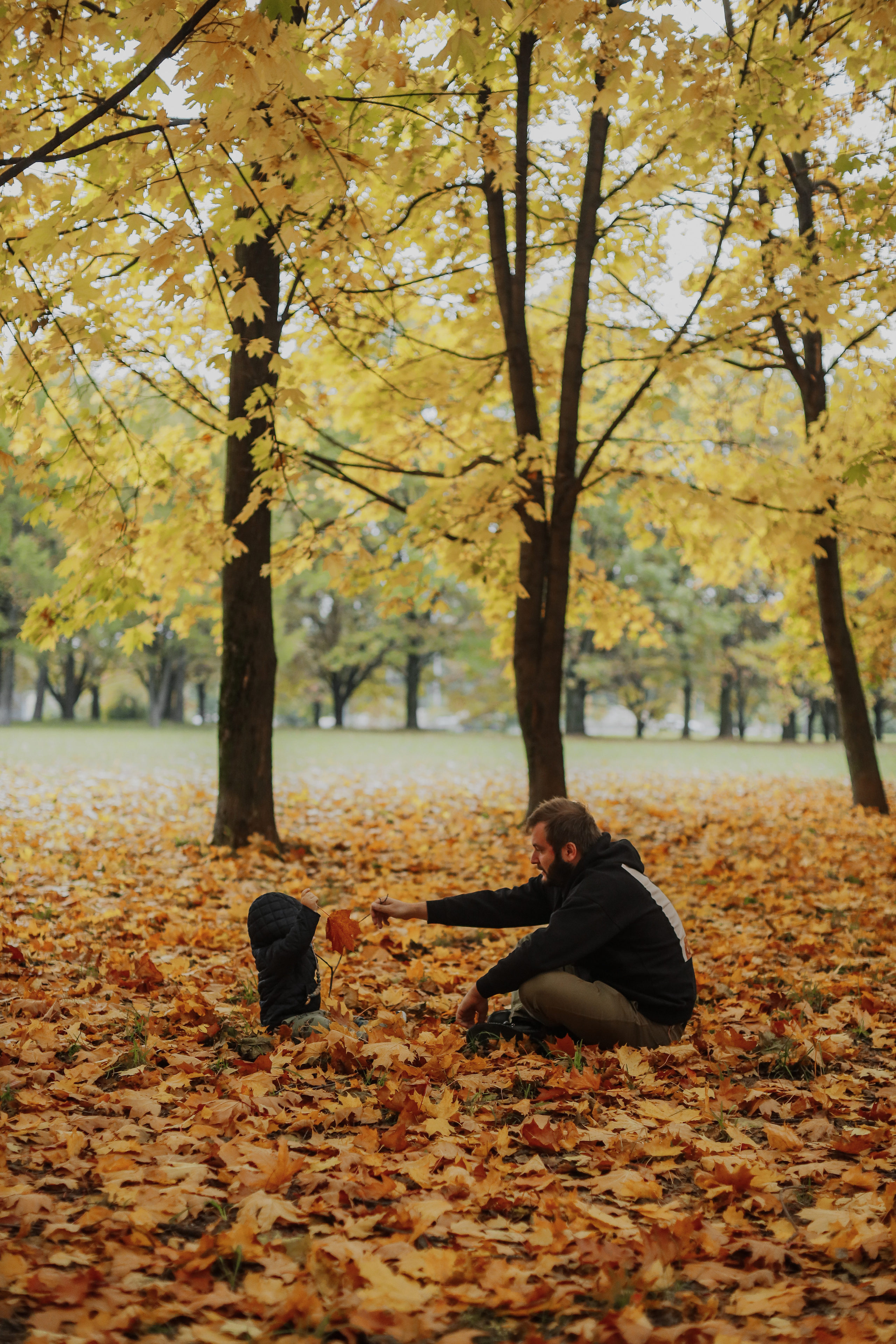 Федор и осень. Фотограф Анастасия Пинчук