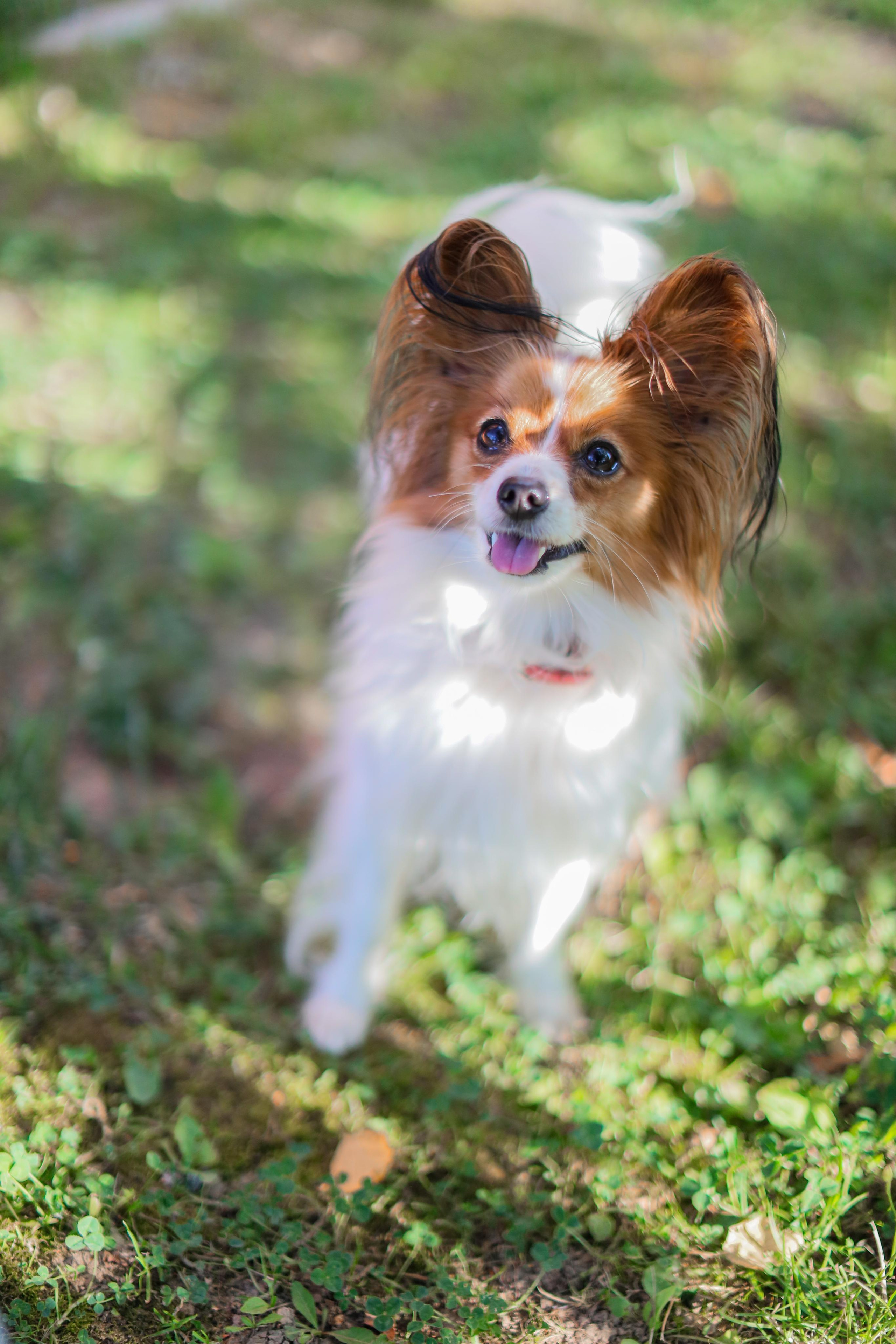 Феде 4. Фотограф Анастасия Пинчук