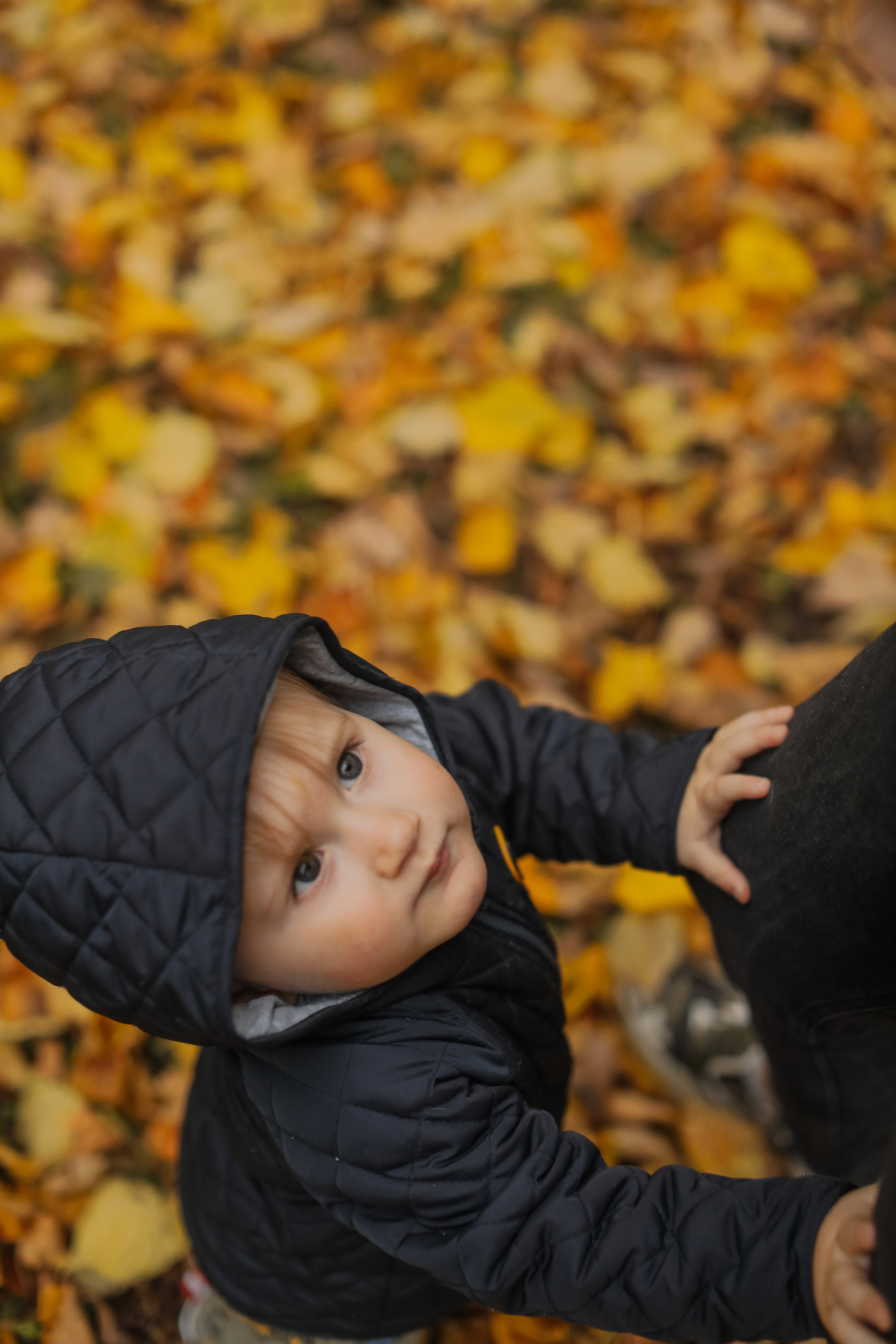 Федор и осень. Фотограф Анастасия Пинчук