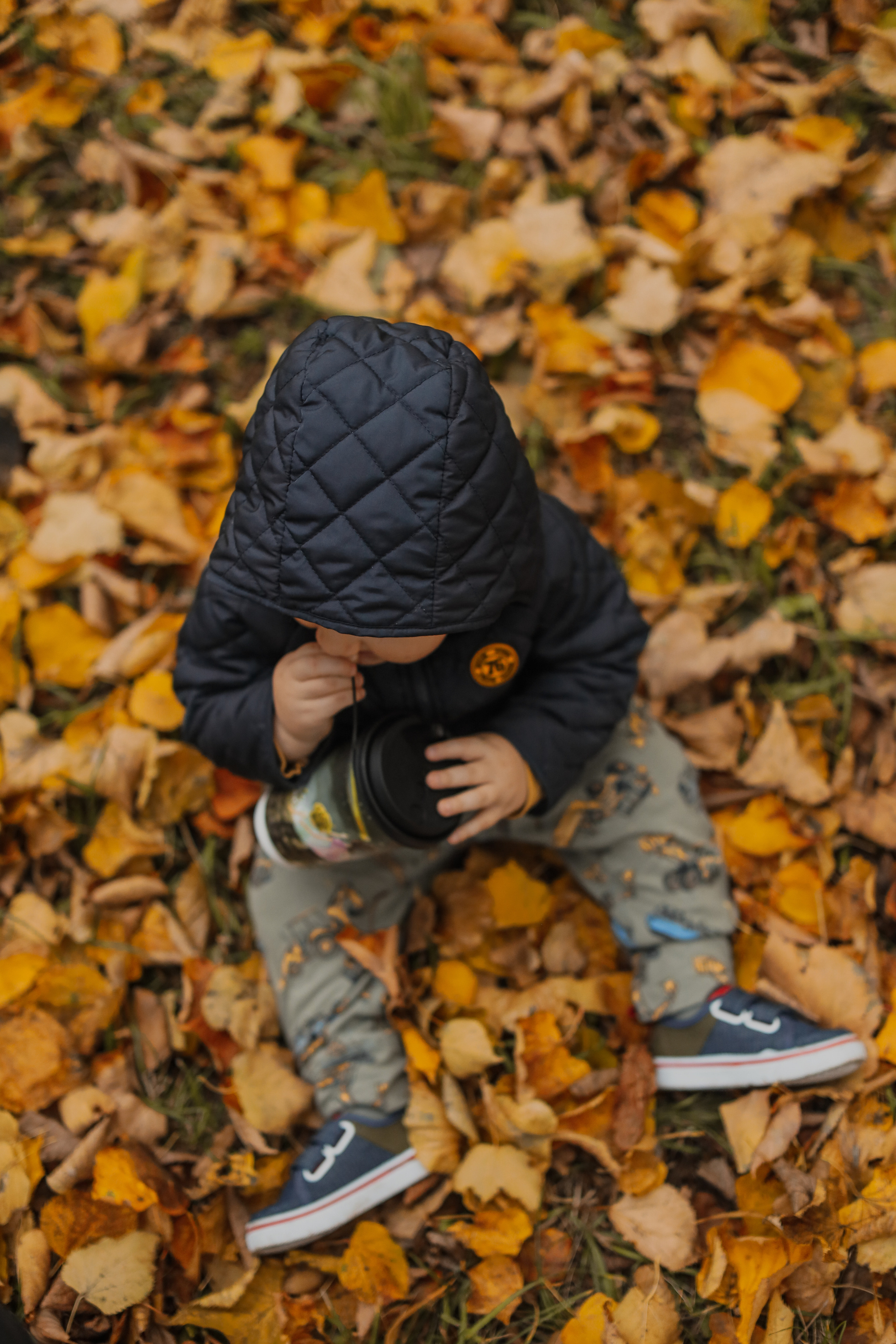 Федор и осень. Фотограф Анастасия Пинчук