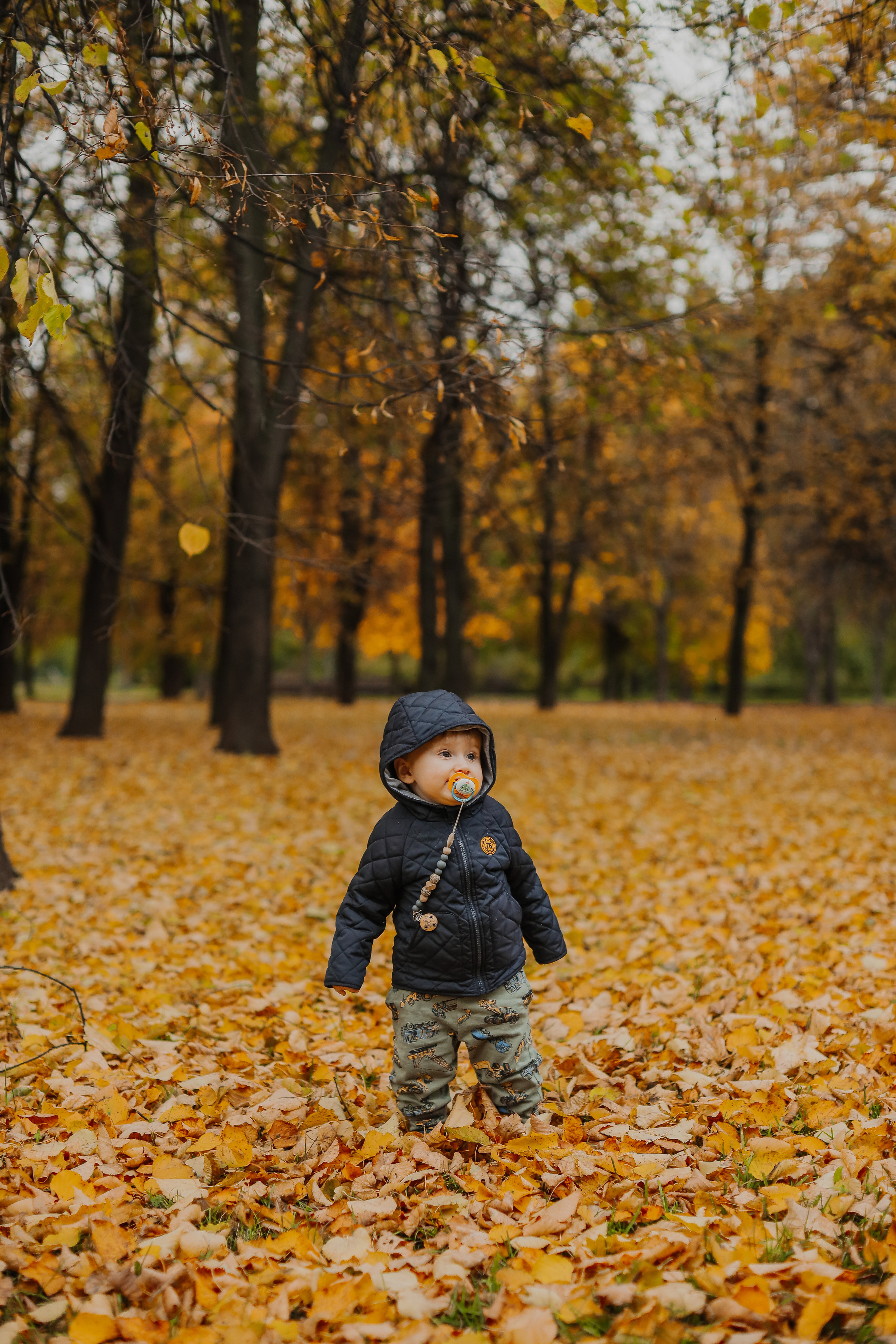 Федор и осень. Фотограф Анастасия Пинчук