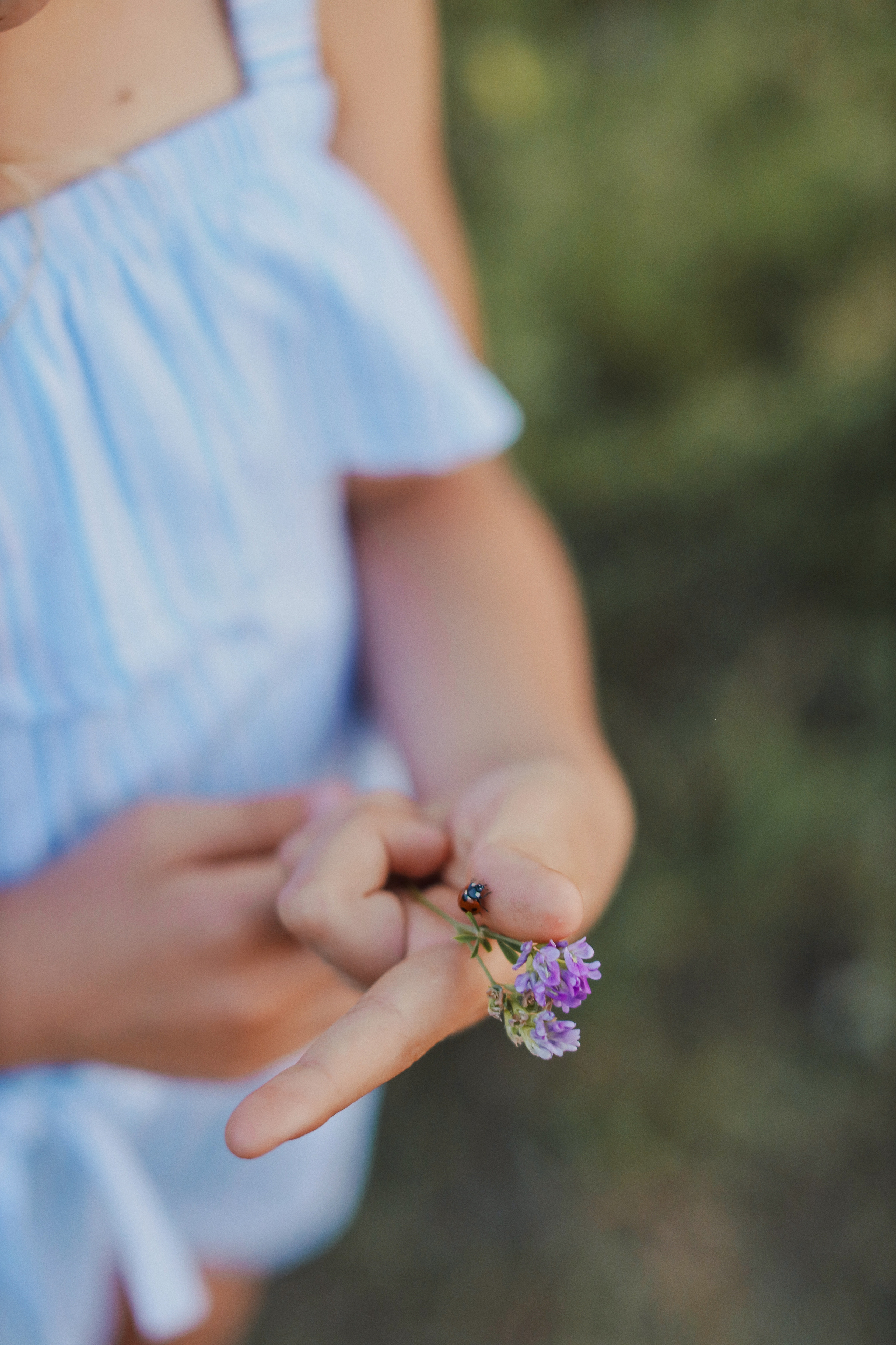 Одним летним вечером. Фотограф Анастасия Пинчук