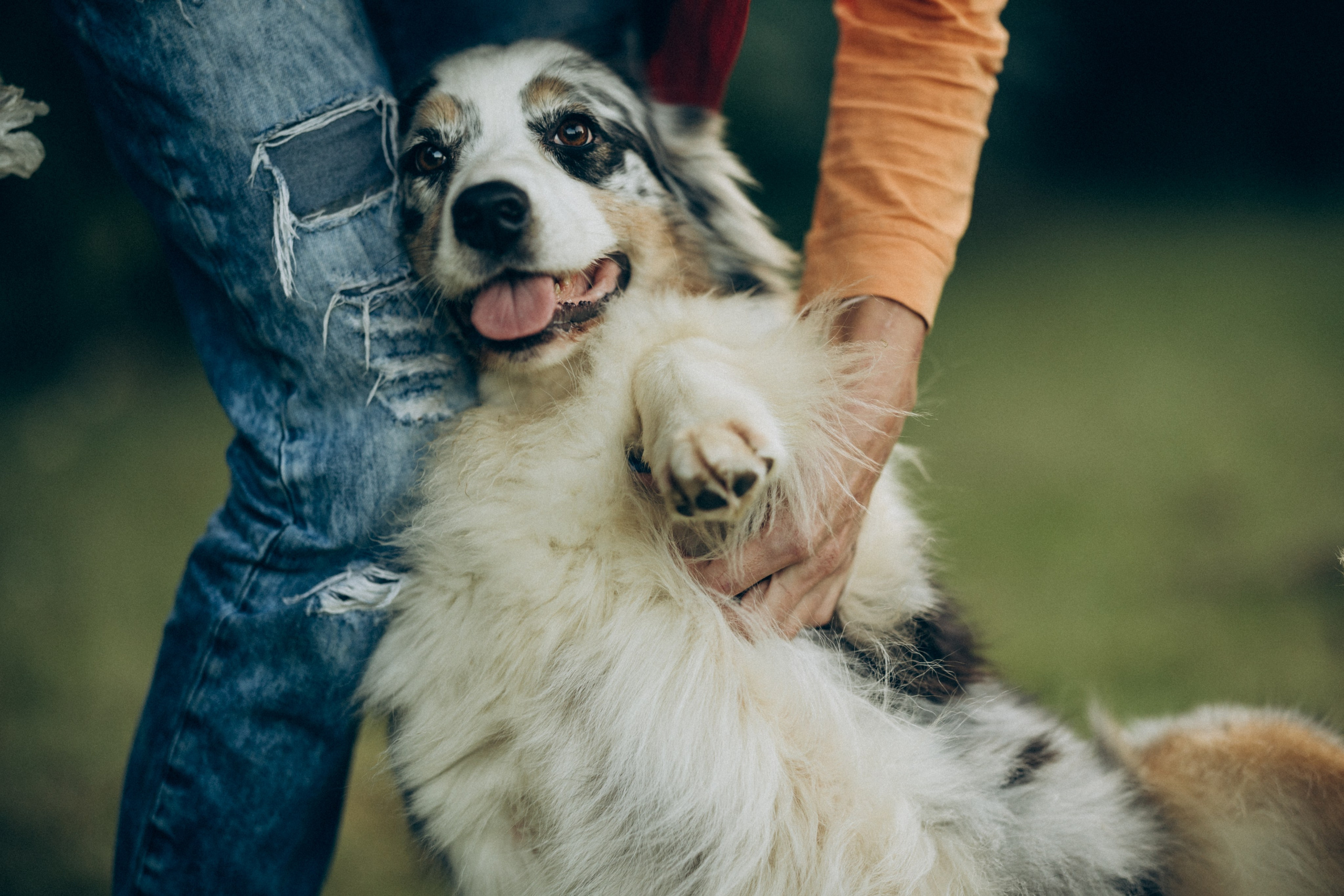 Катя и ее стая. Татьяна Афонина | Фотограф