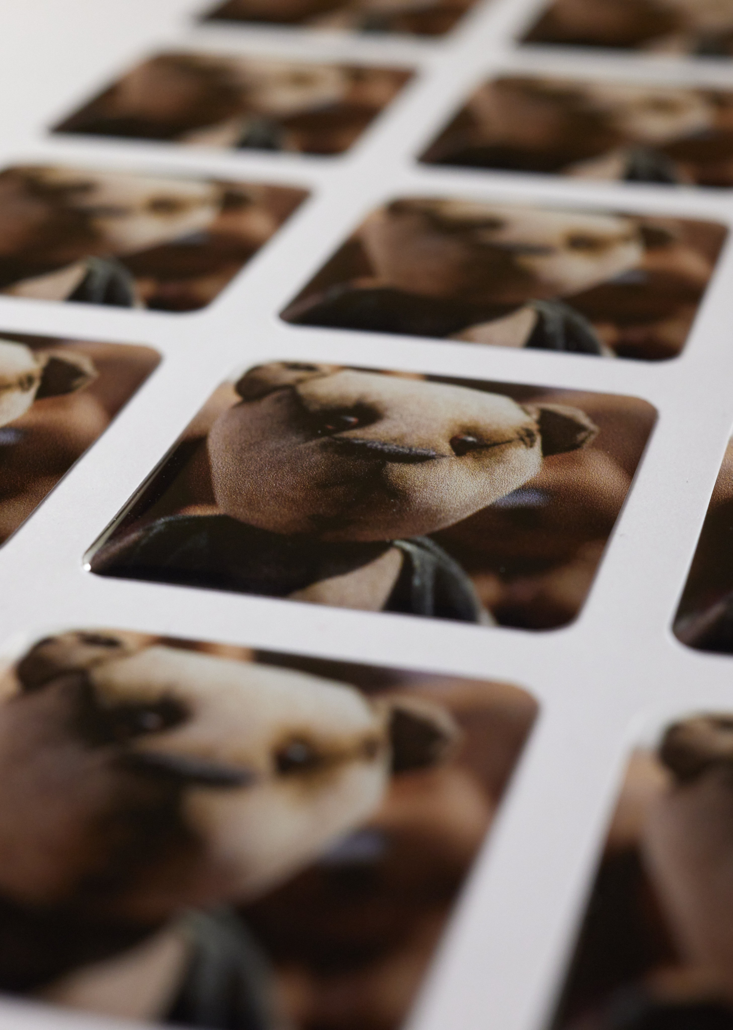 Имидж Технологии — Производство сувенирных магнитов, заливных этикеток и значков. Репортажная фотография в Кирове Кировской области