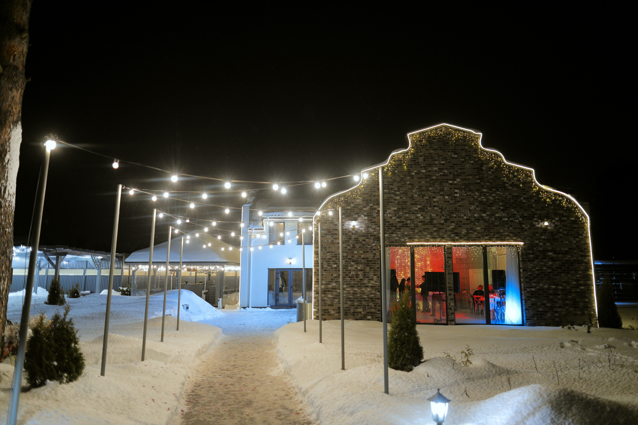 Саша и Оксана. Ведущий на свадьбу в Москве Зубков Алексей