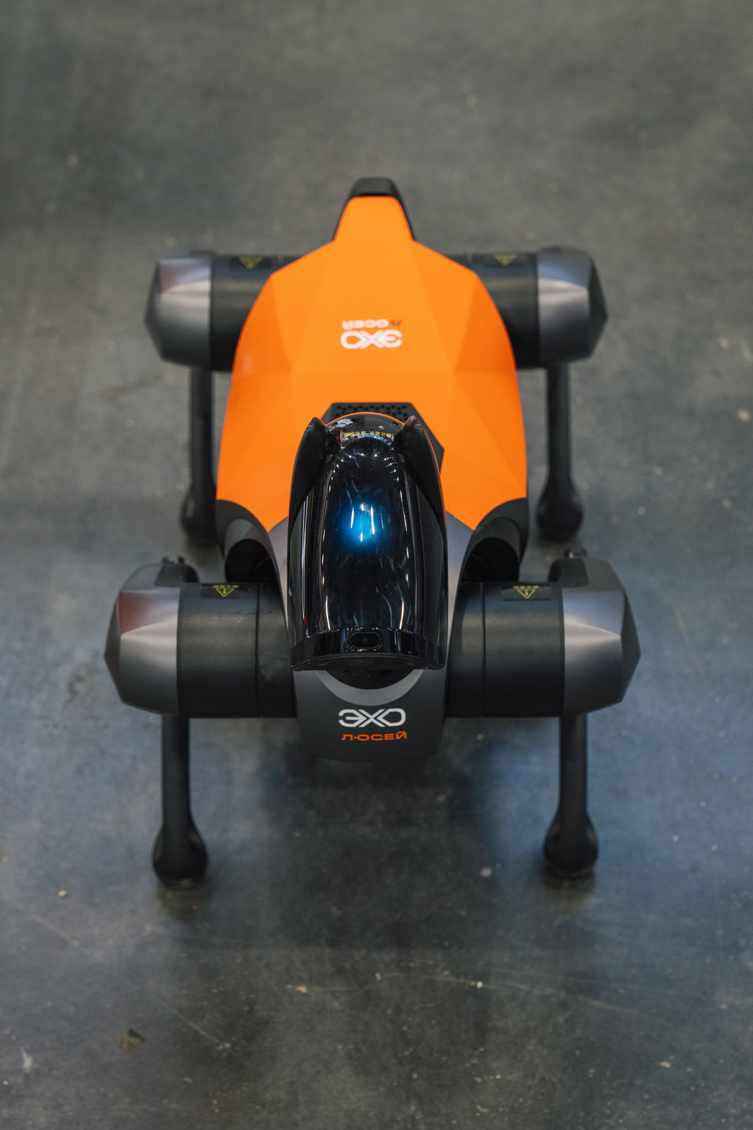 OCS. Kaef-production