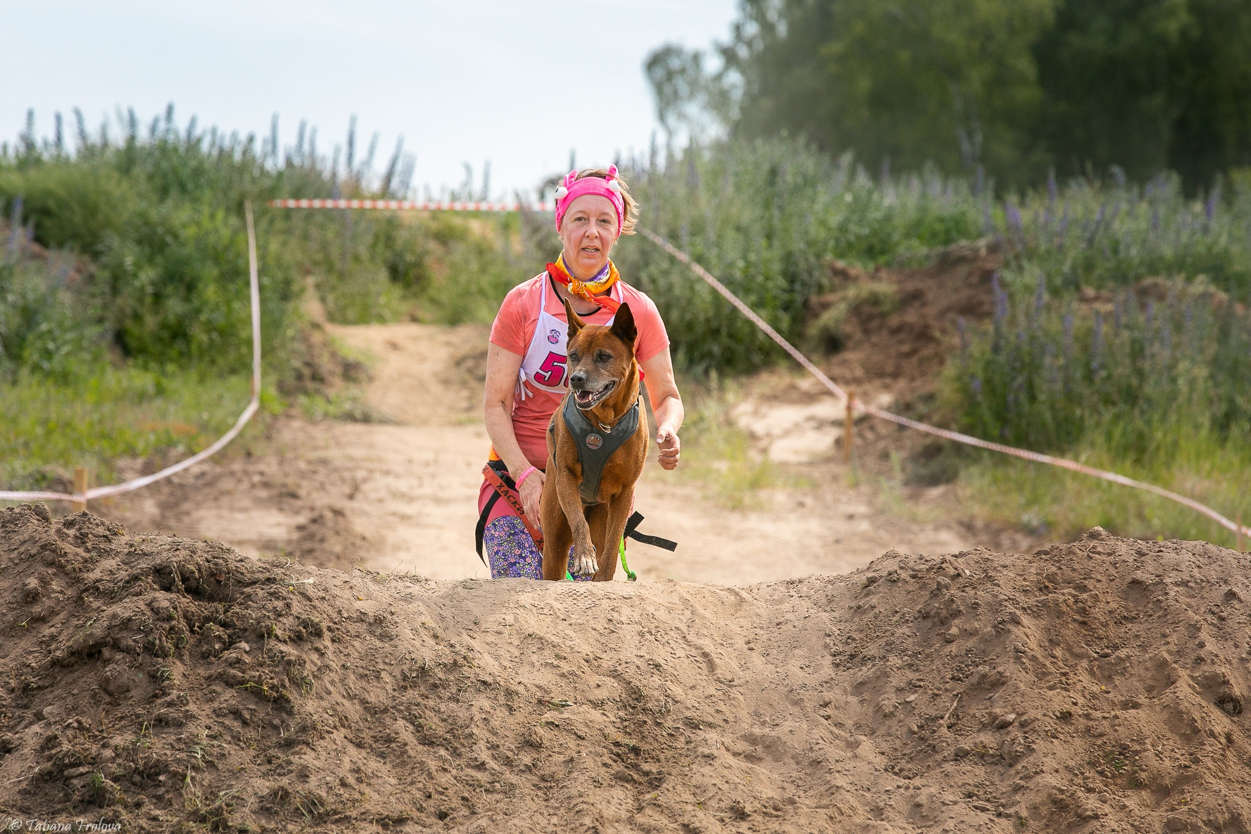 Фоторепортаж с забега с собаками. Фотограф-анималист в Москве и Московской области Татьяна Фролова