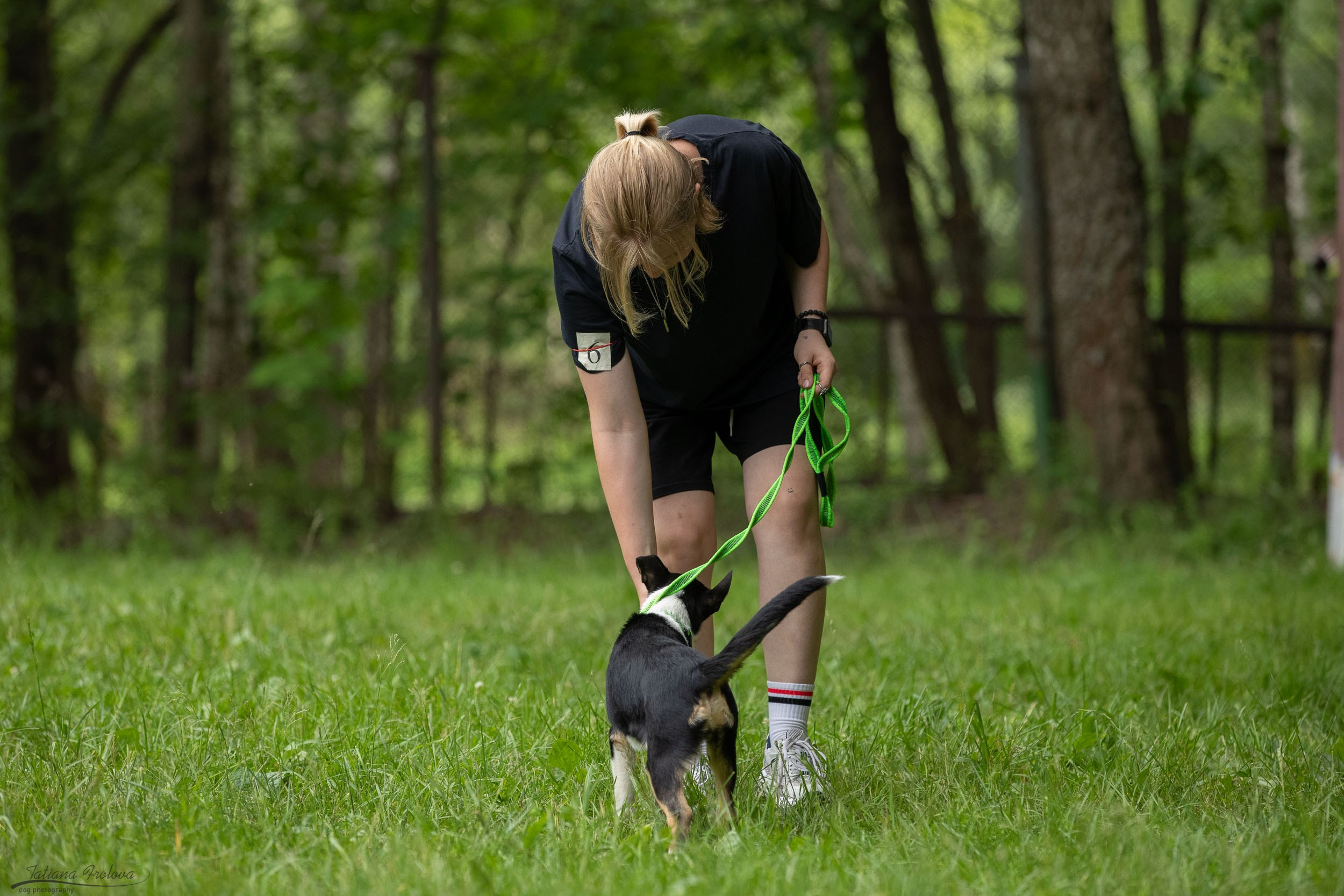Репортаж с выводки молодняка колли/шелти в Ясенево. Фотограф-анималист в Москве и Московской области Татьяна Фролова