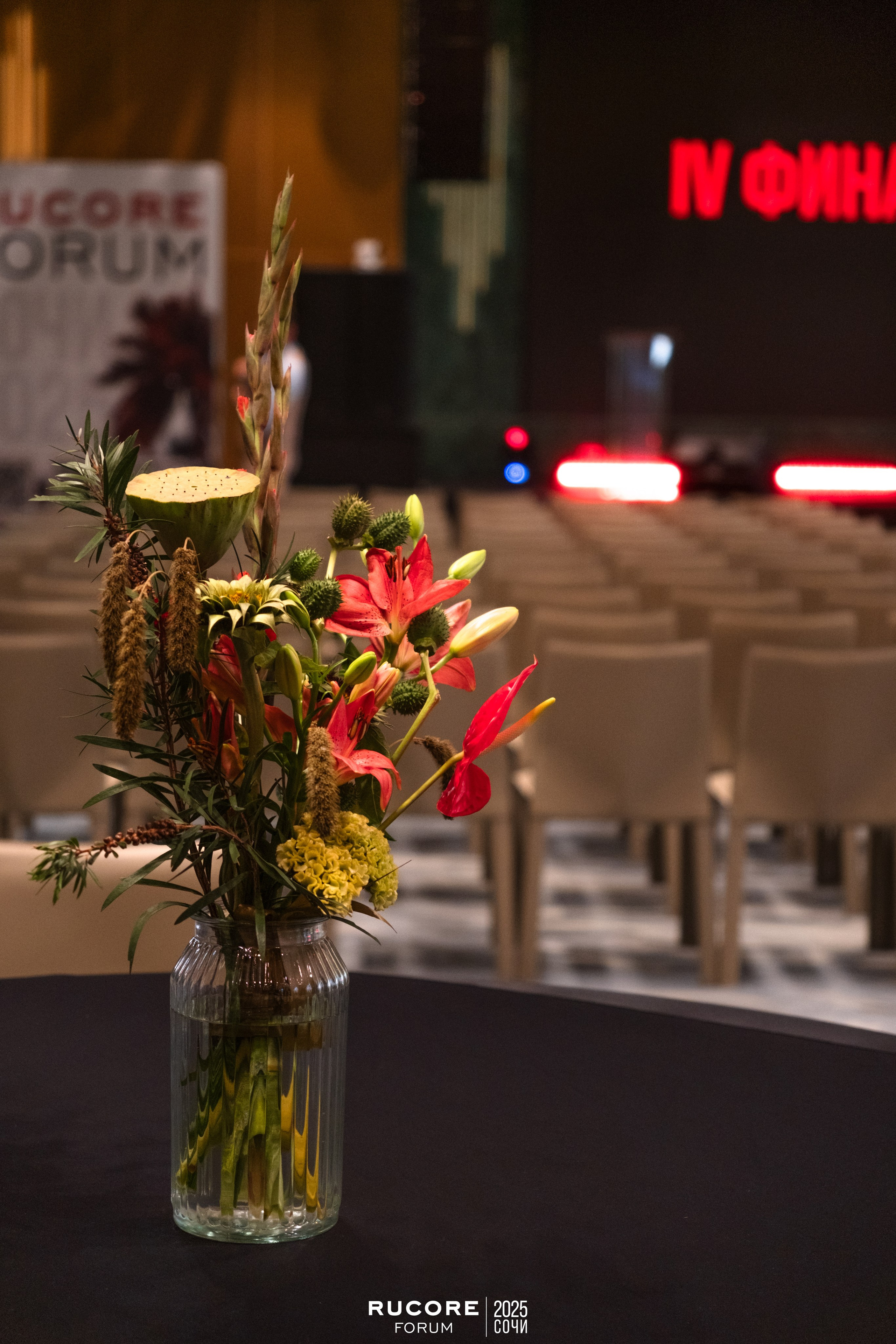 Rucore Forum. Репортажный фотограф в Сочи Екатерина Вежливцева