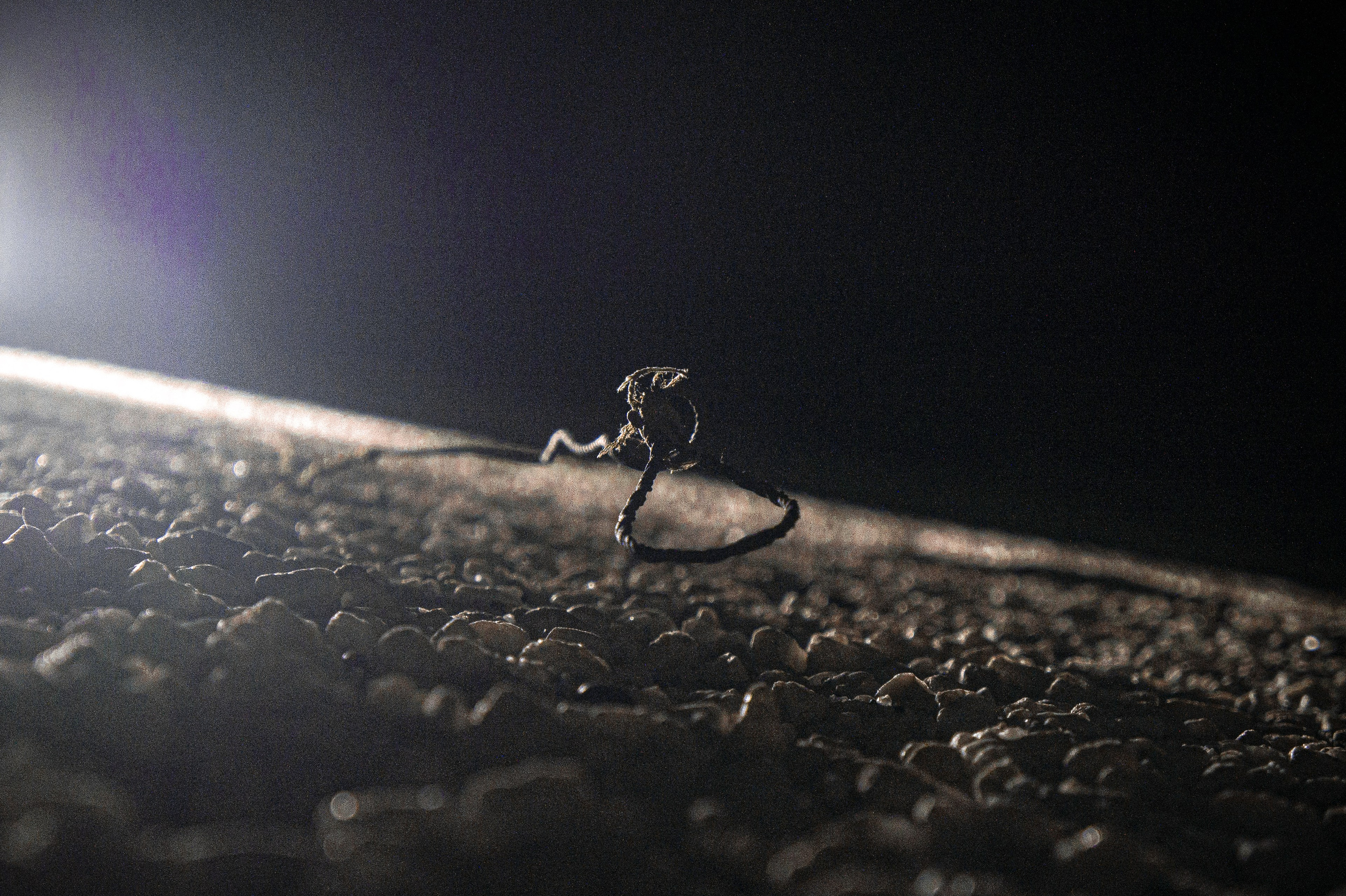 Street choreography. StepanGerasimov