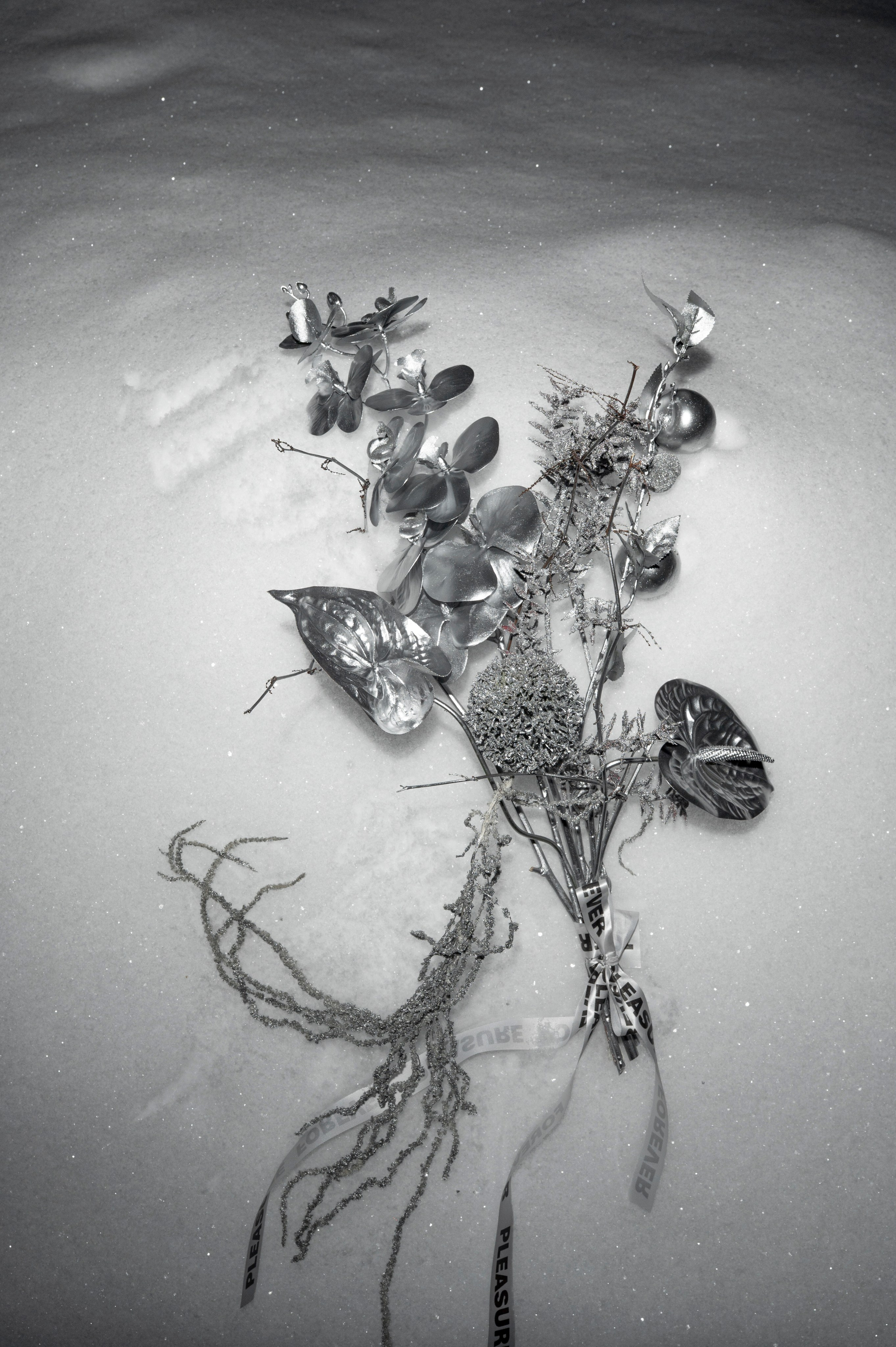 Зимняя история любви. Фотограф Евгения Мирошниченко