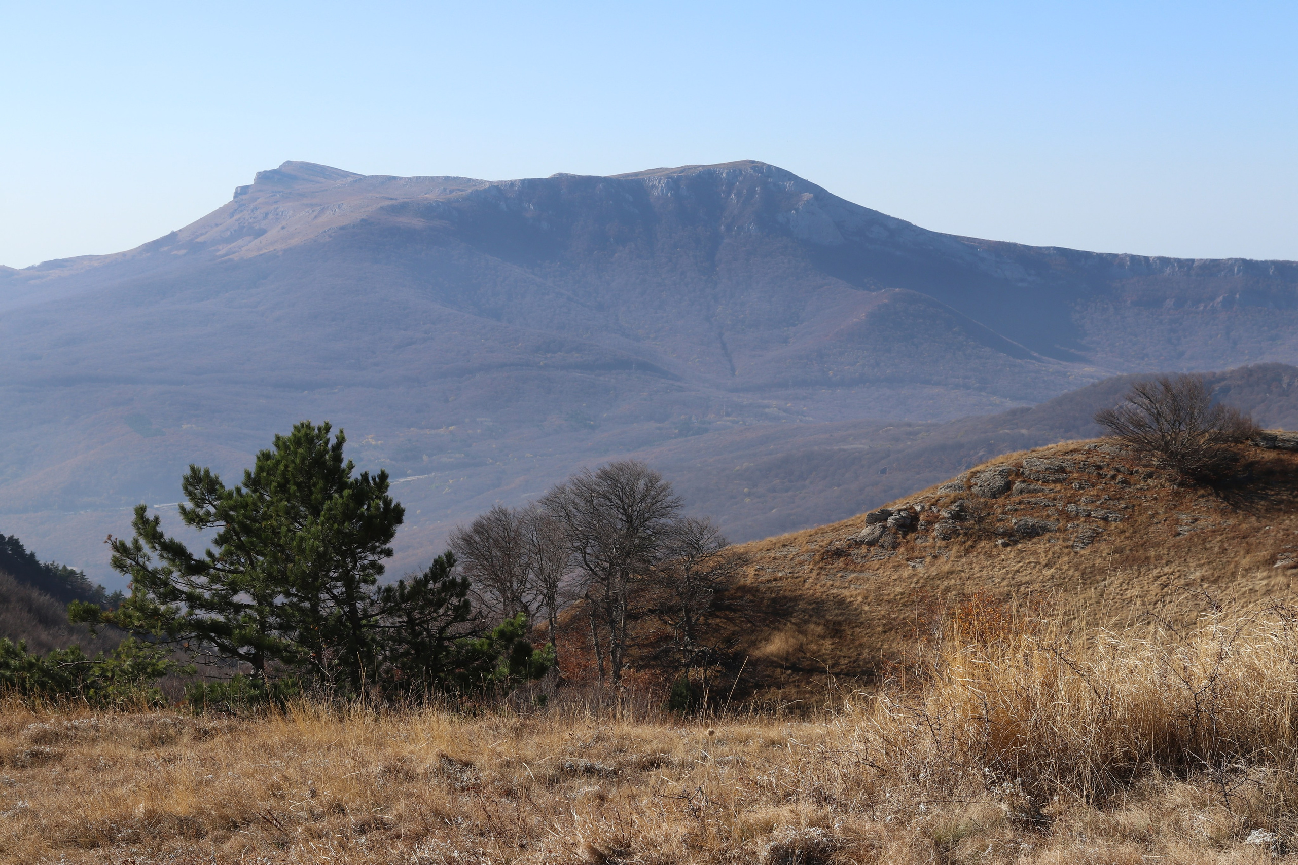 Крым. ЮБК (Гурзуф, Судак и их окрестности). Ноябрь 2023. Путешественник-фотограф из Санкт-Петербурга Татьяна Свистулина