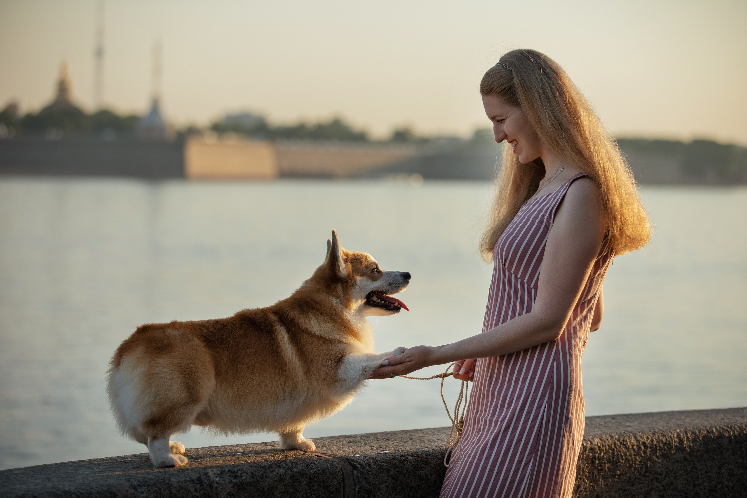 Собаки и не только. Фотограф Алена Звездина