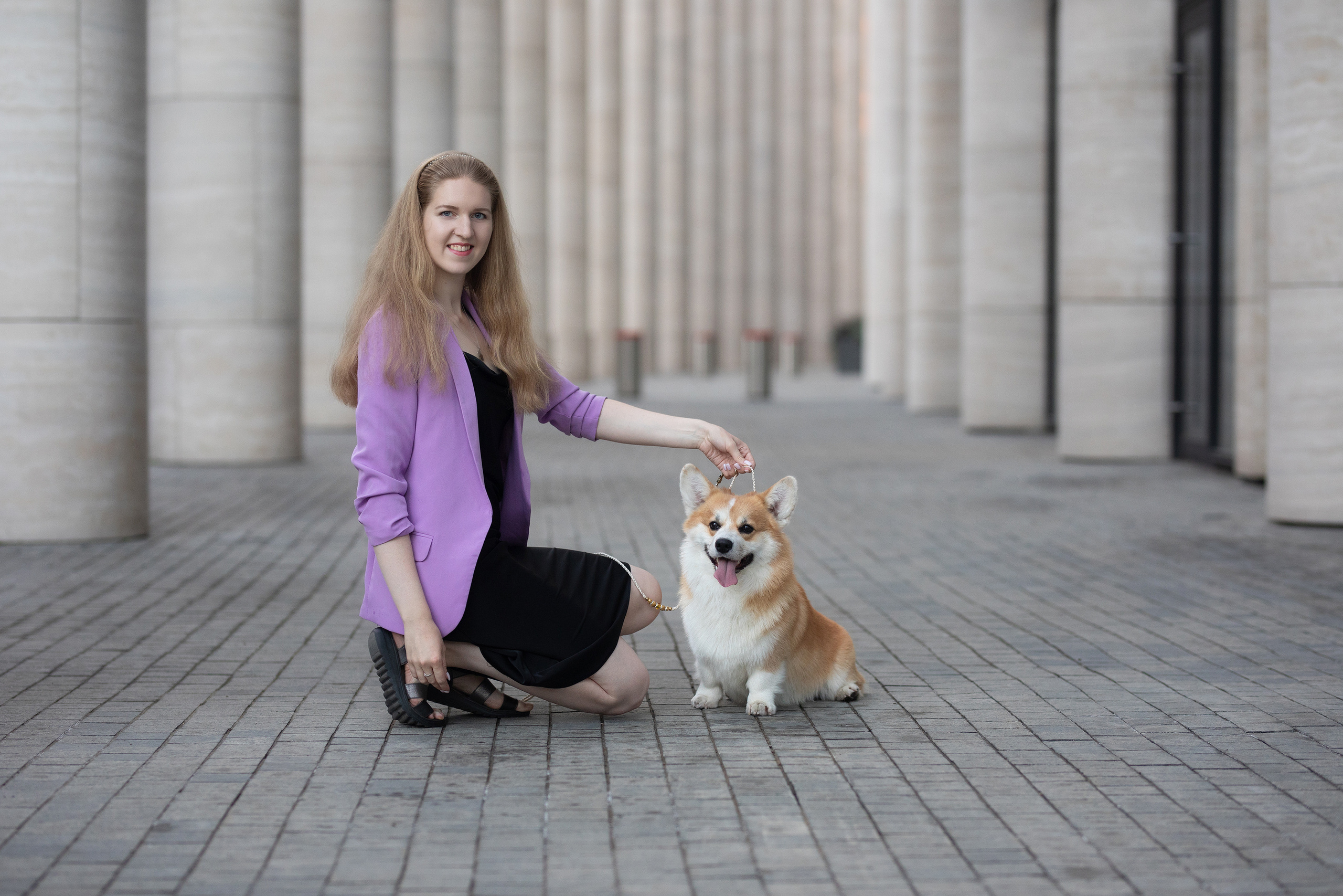Собаки и не только. Фотограф Алена Звездина