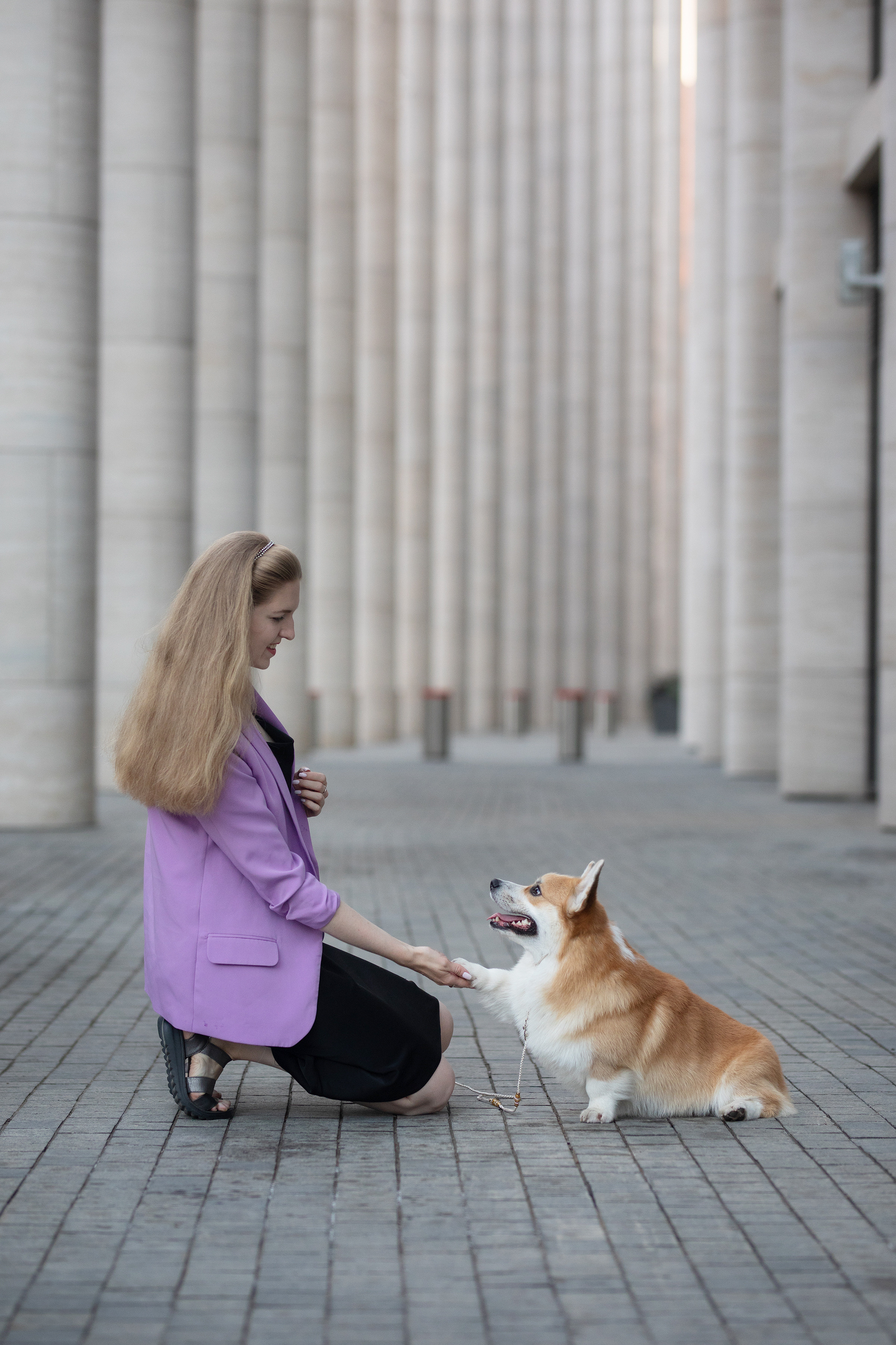 Собаки и не только. Фотограф Алена Звездина