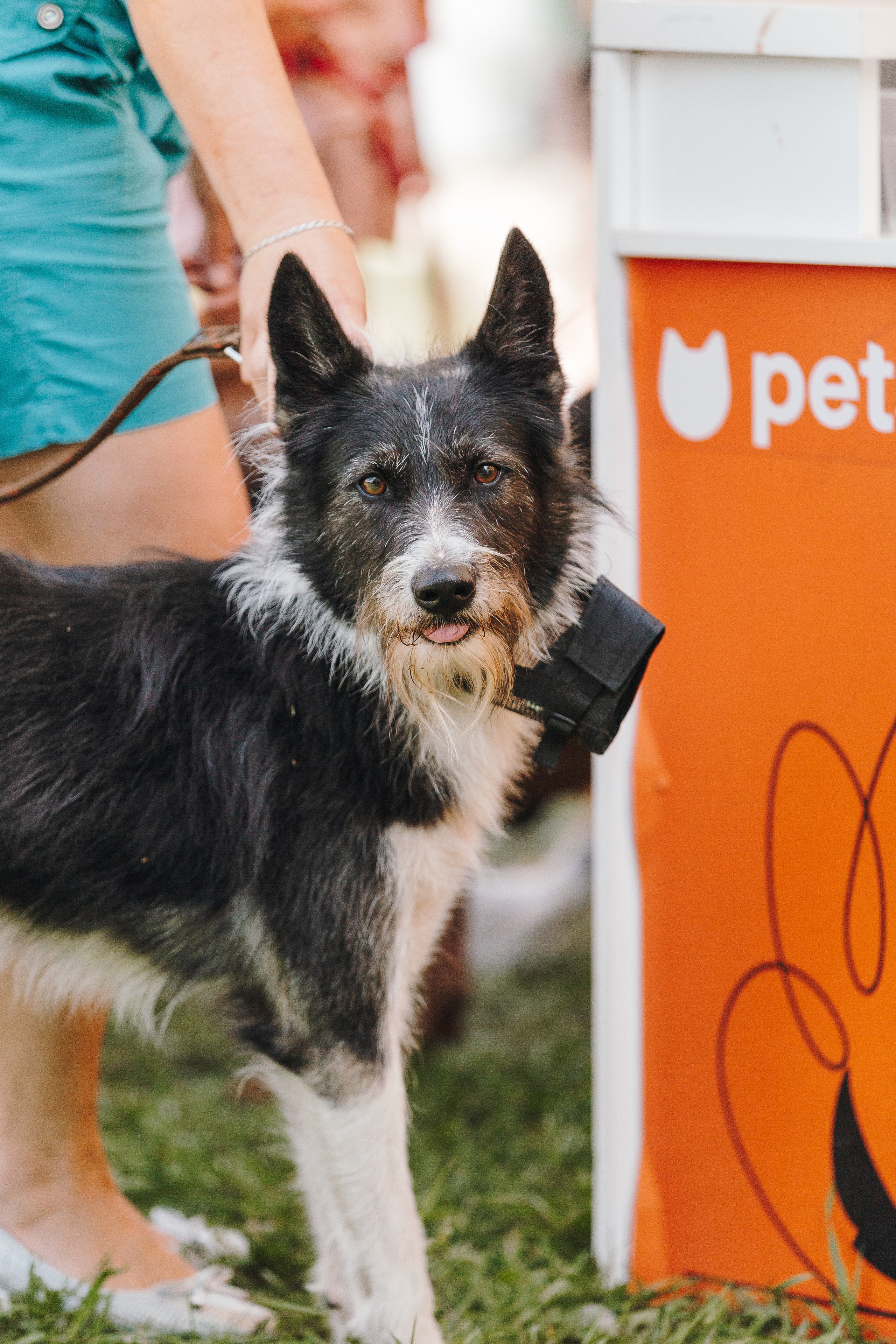 Petshop Sup day. Фотограф анималист Кристина Карпова, Москва