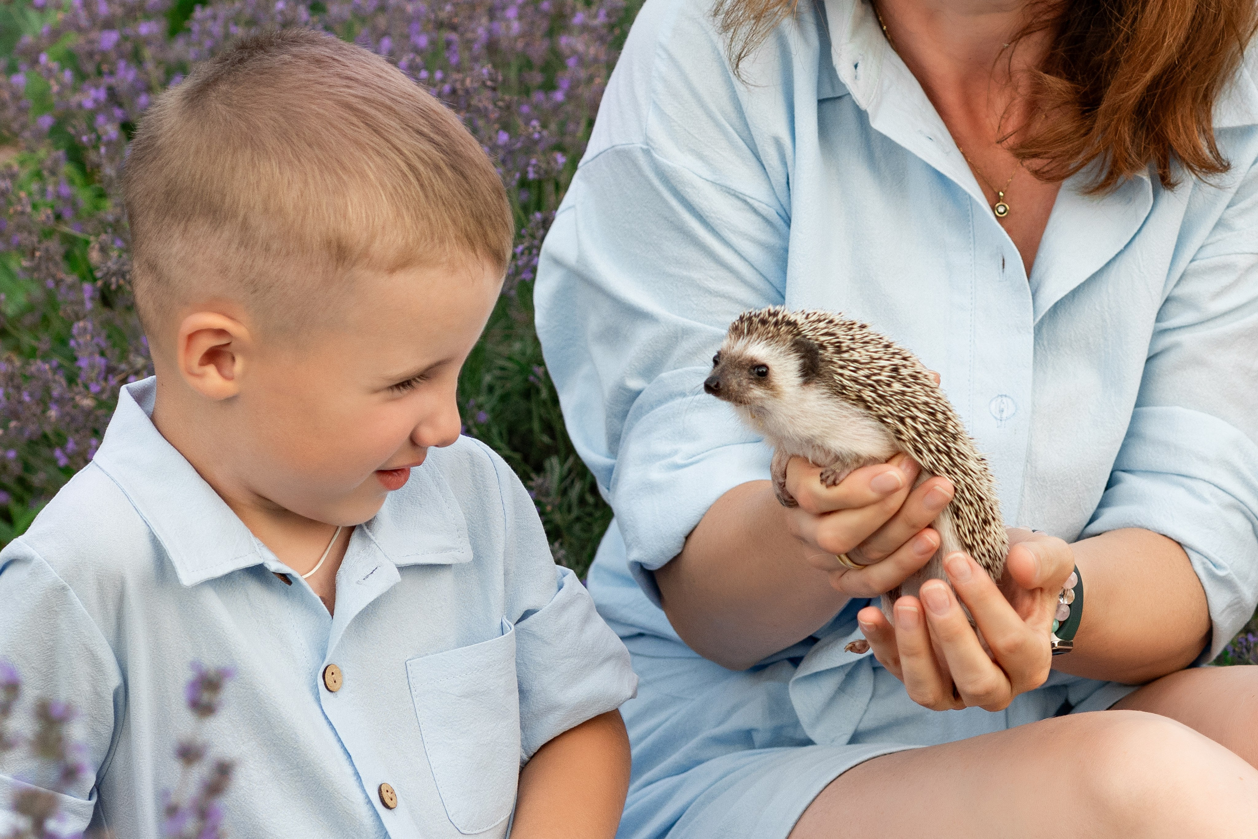 Лаванда. Детский и семейный фотограф г. Москва Оксана Катаджи