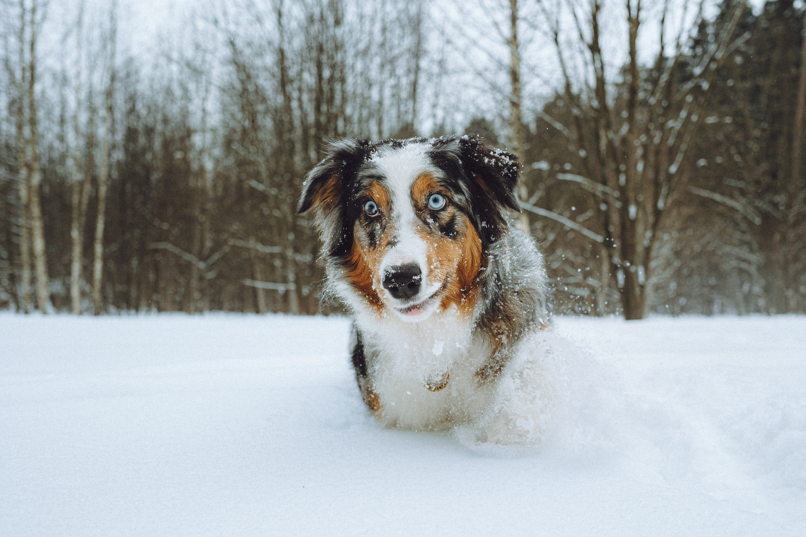 Фаня и ее семья
