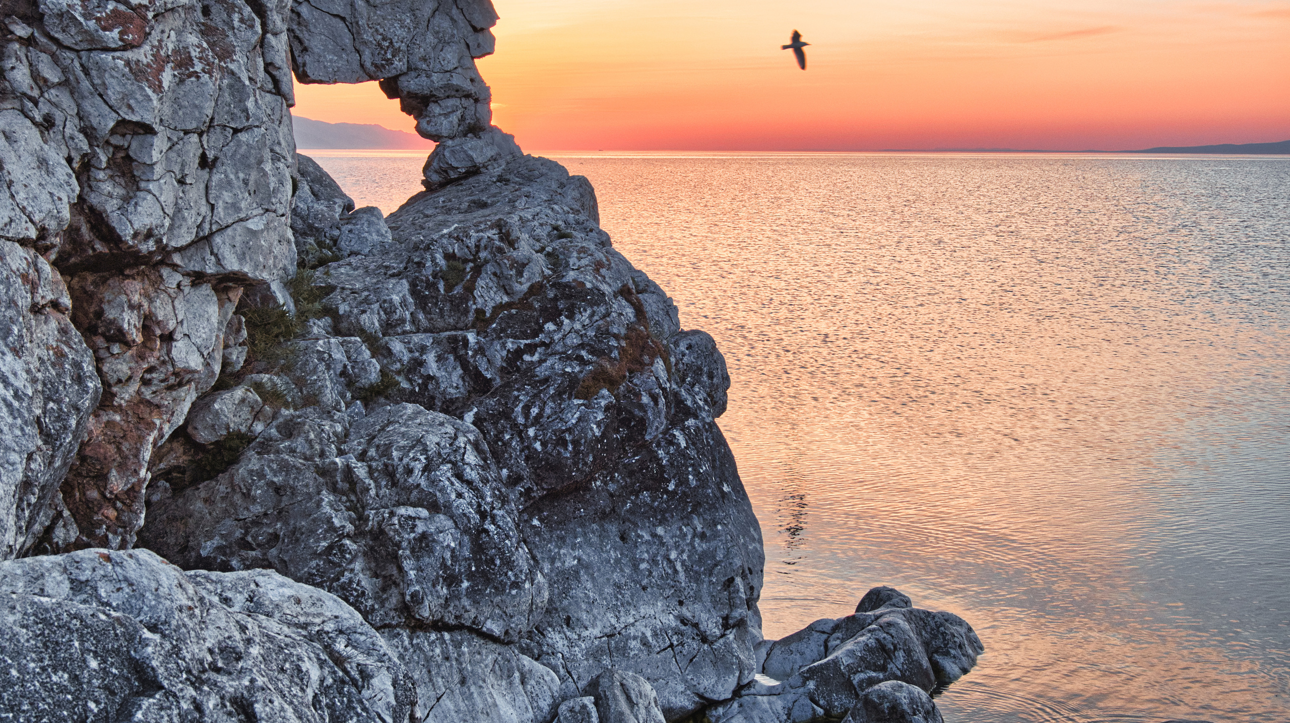 Владимир Альбов — фотографирую!