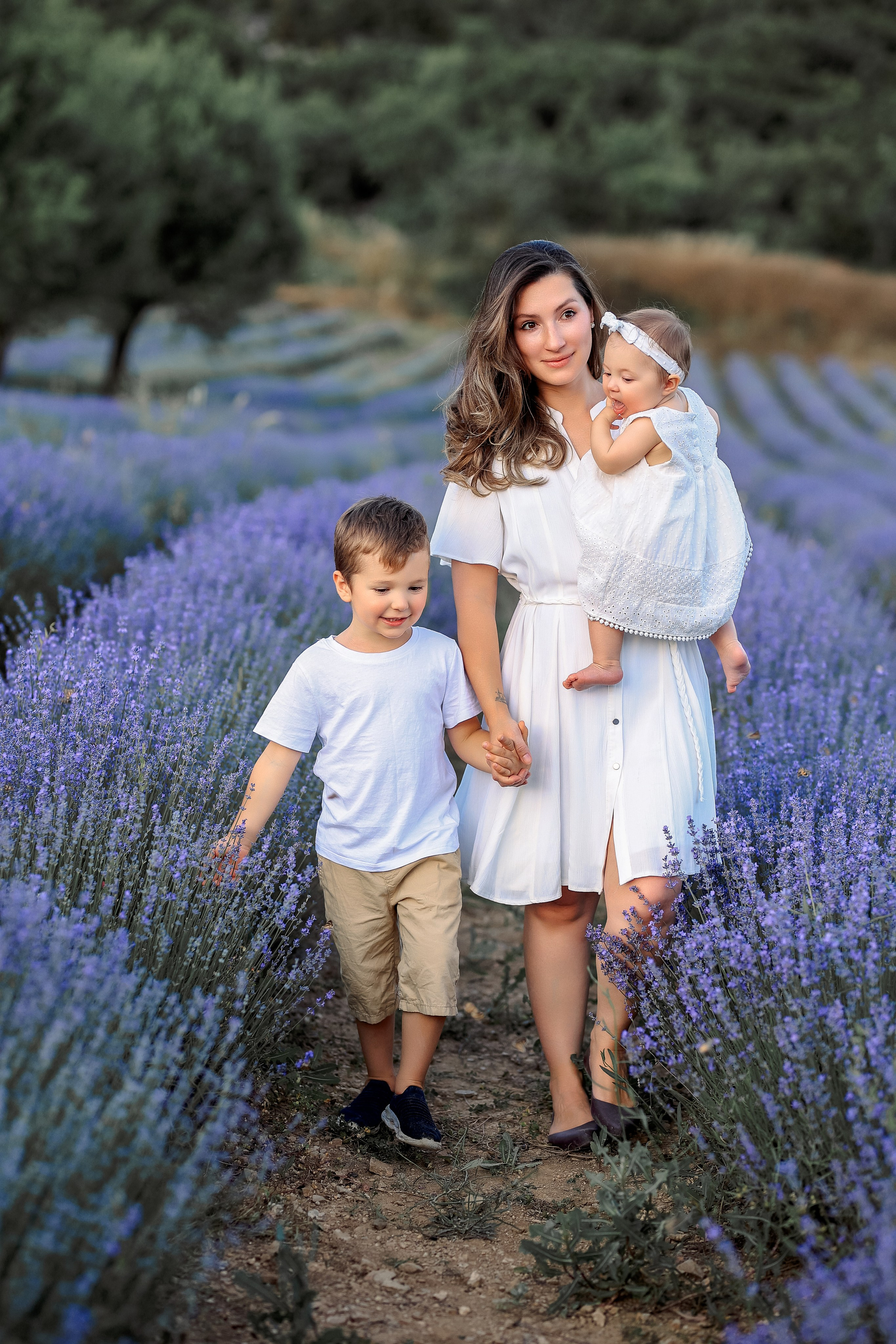 Lavender in Antalya