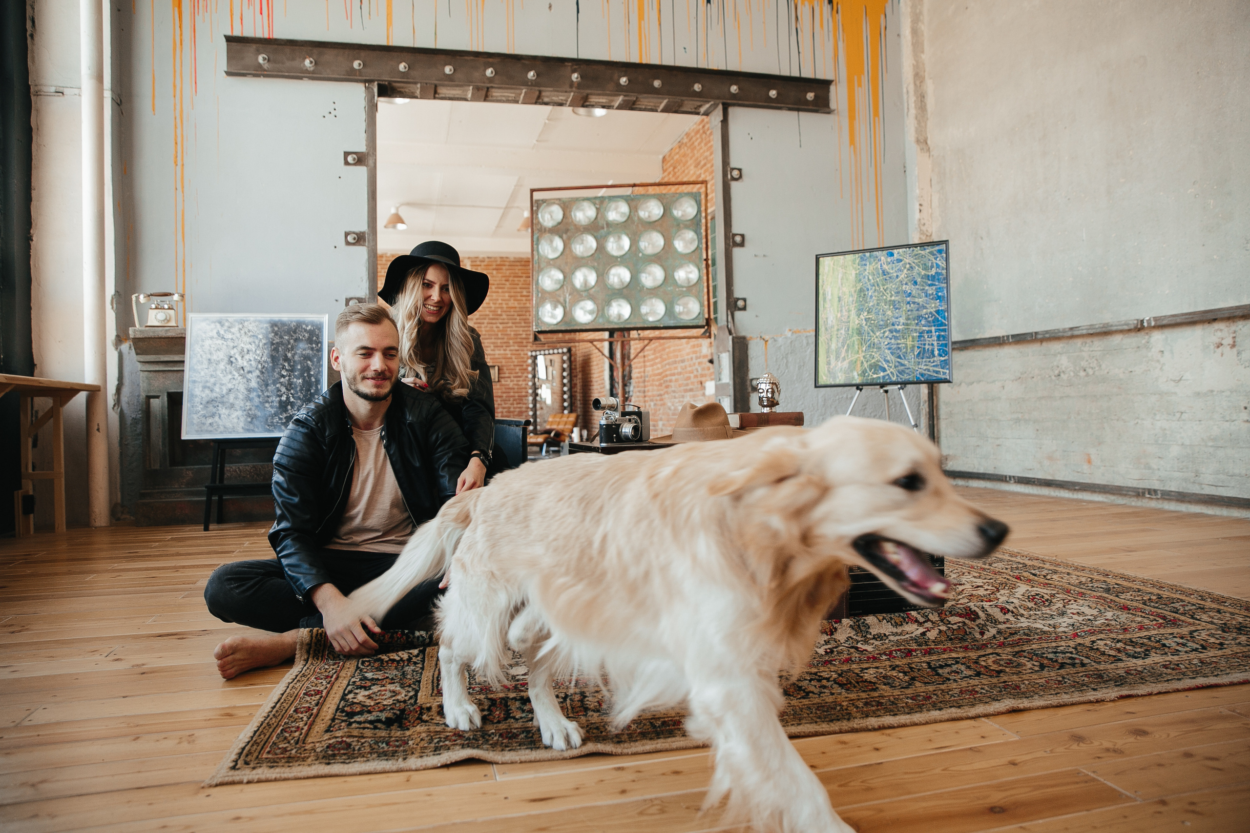 Love story с собакой в студии. Саша Потапкин Фотограф. Сочи, Екатеринбург, Москва