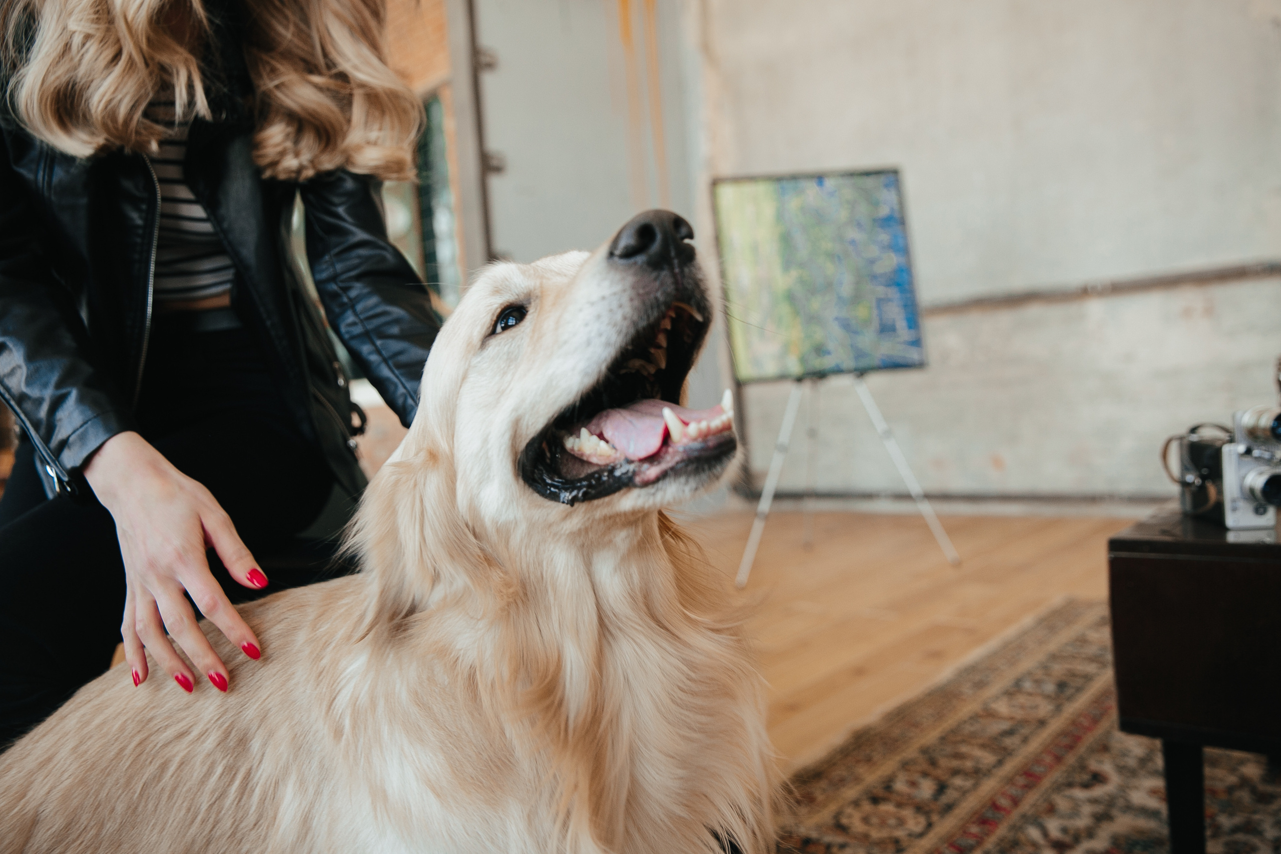 Love story с собакой в студии. Саша Потапкин Фотограф. Сочи, Екатеринбург, Москва