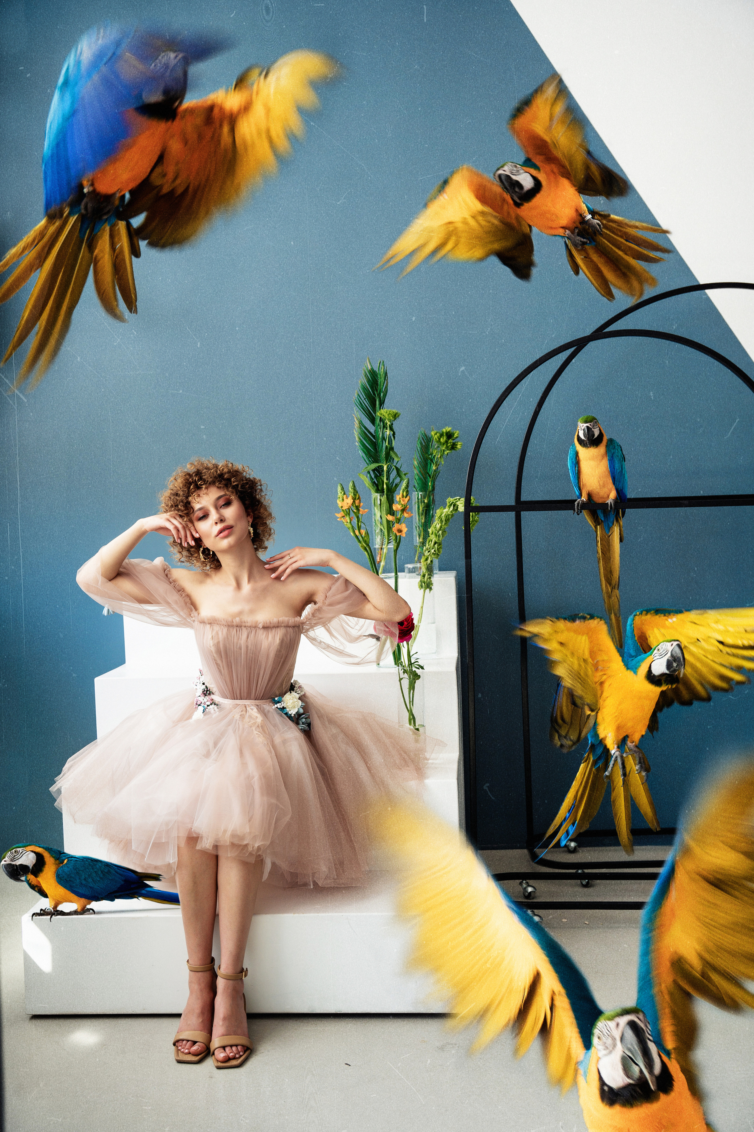 Студийная фотосъемка девушки с попугаем. Саша Потапкин Фотограф. Сочи, Екатеринбург, Москва