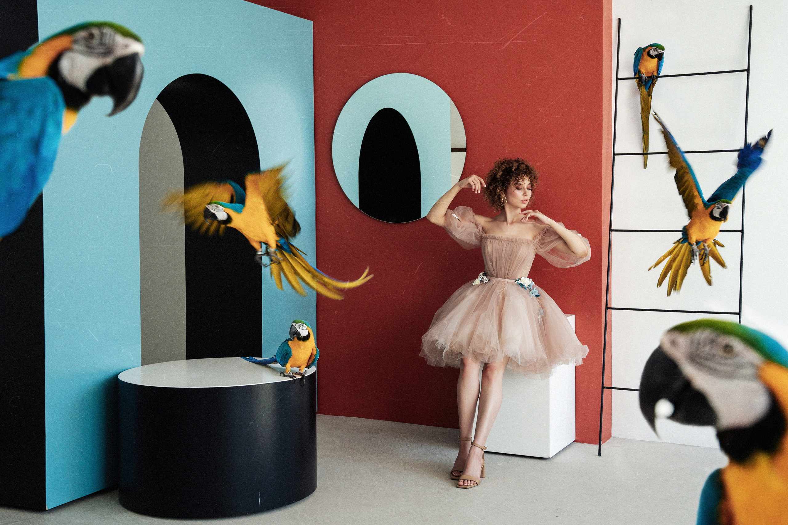 Студийная фотосъемка девушки с попугаем. Саша Потапкин Фотограф. Сочи, Екатеринбург, Москва