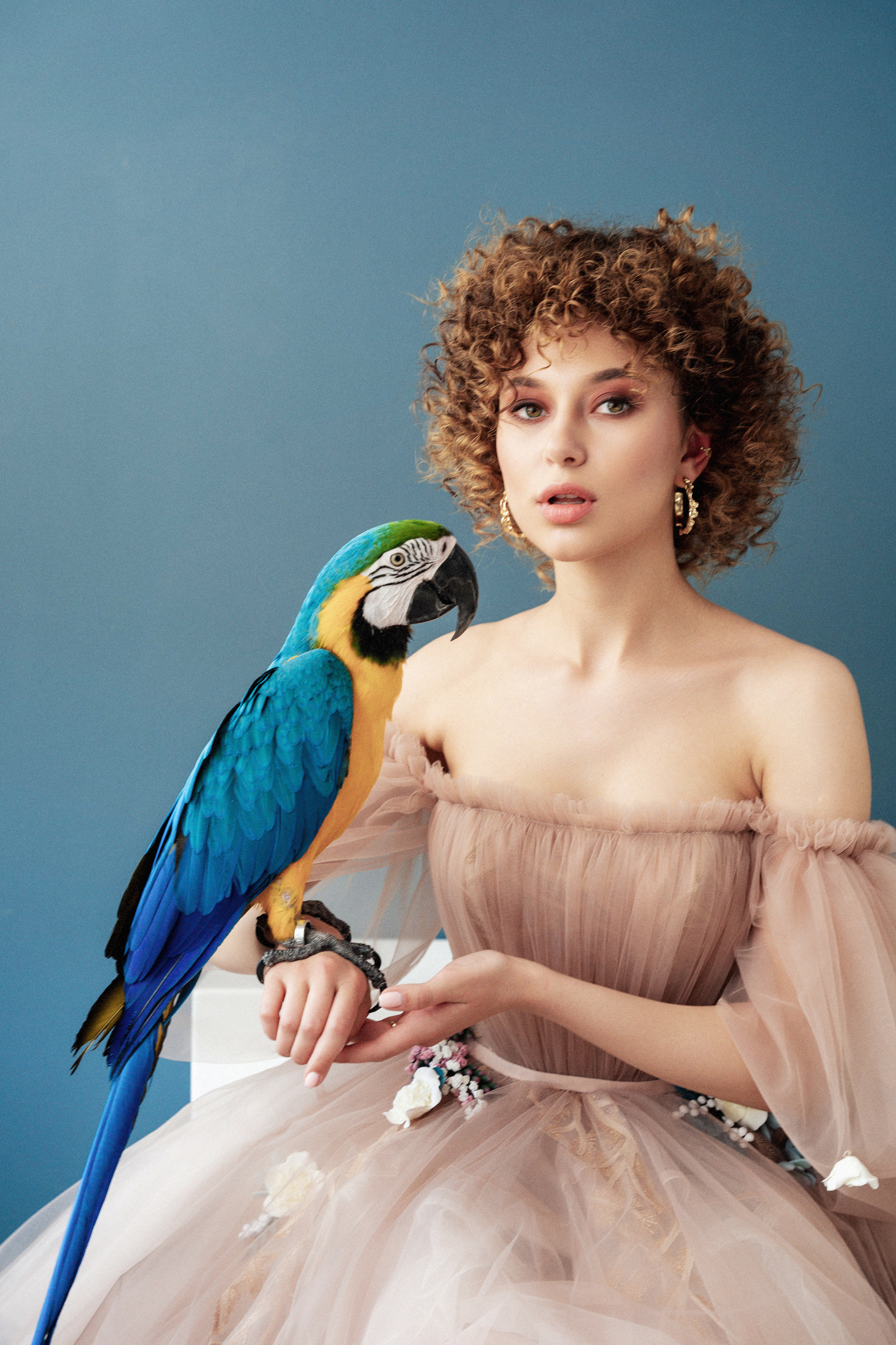 Студийная фотосъемка девушки с попугаем. Саша Потапкин Фотограф. Сочи, Екатеринбург, Москва