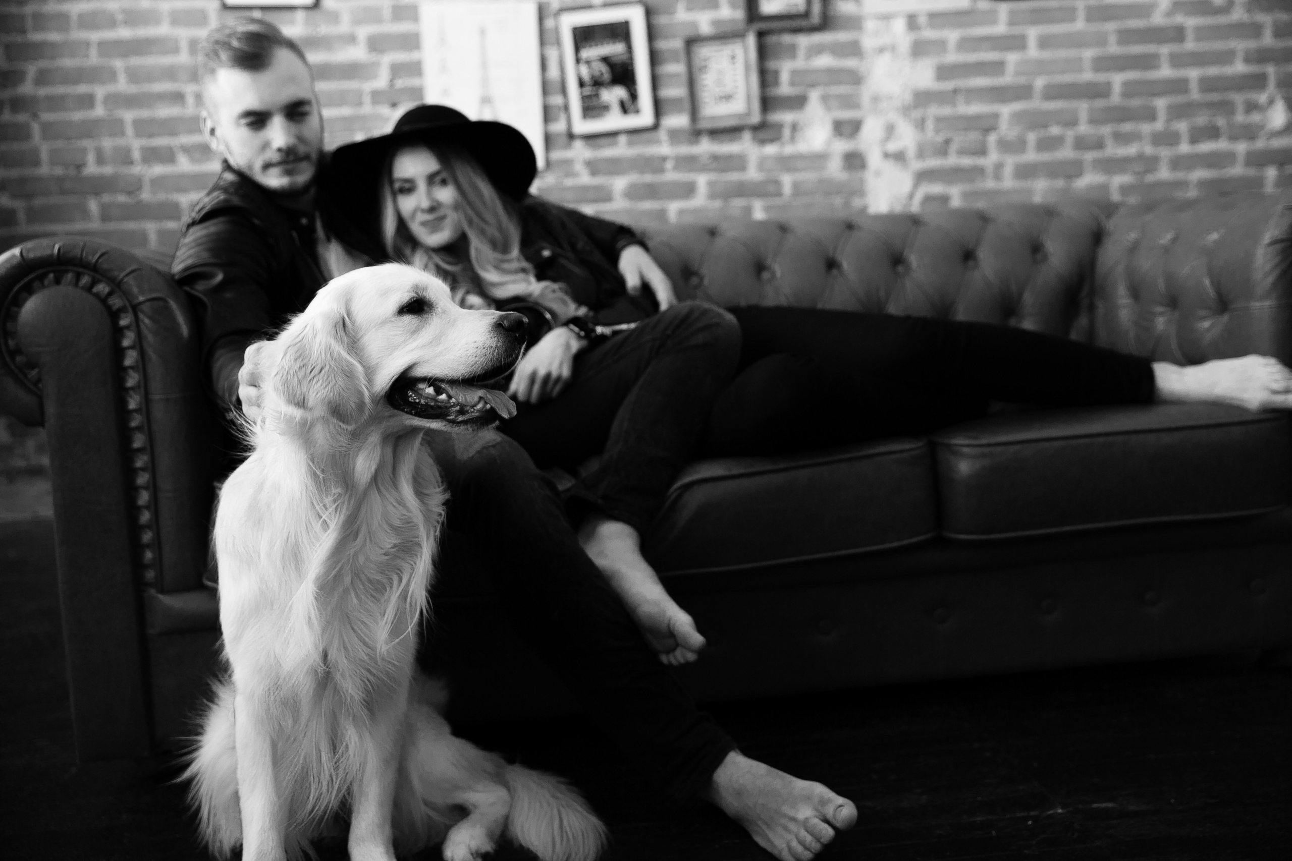 Love story с собакой в студии. Саша Потапкин Фотограф. Сочи, Екатеринбург, Москва