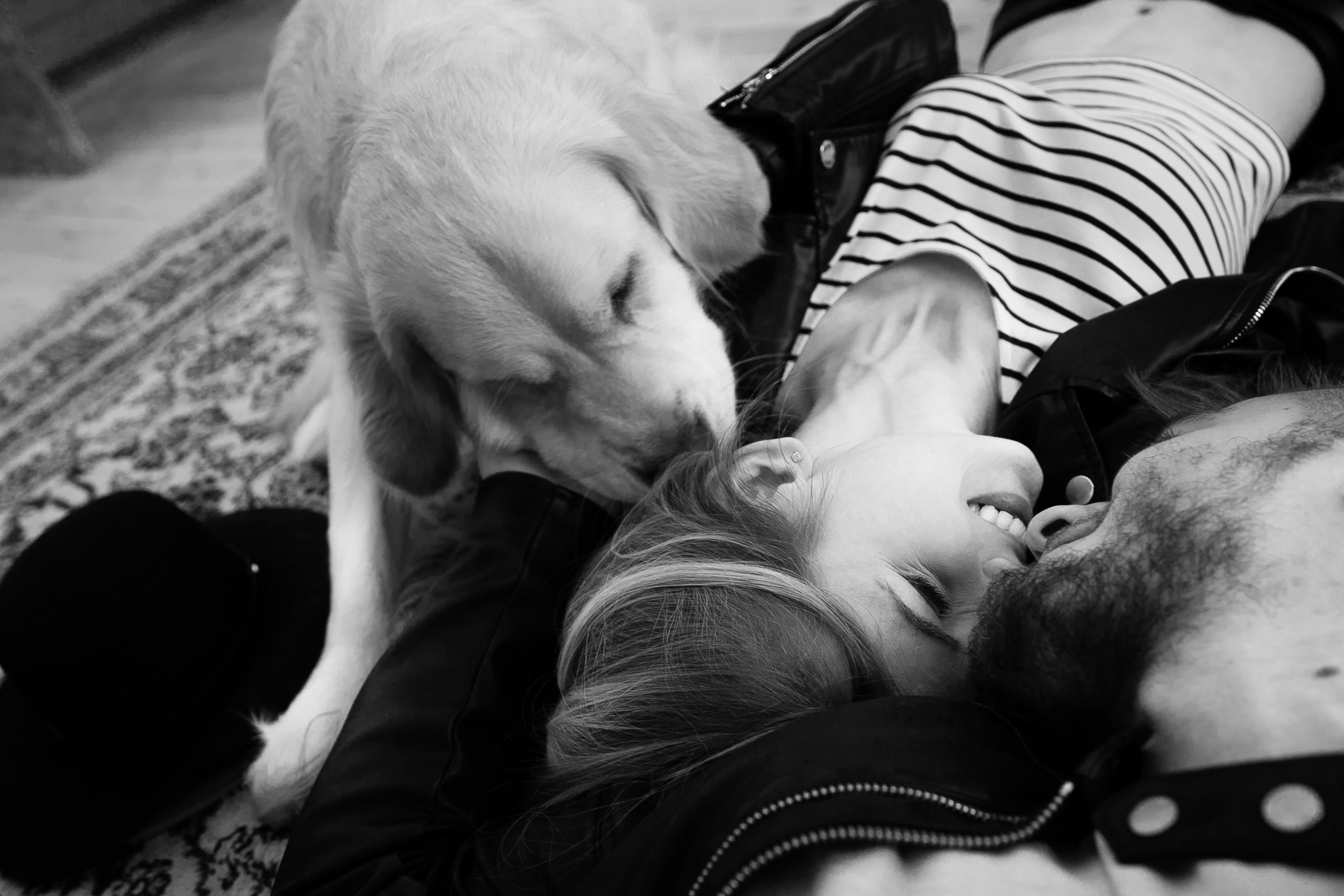 Love story с собакой в студии. Саша Потапкин Фотограф. Сочи, Екатеринбург, Москва