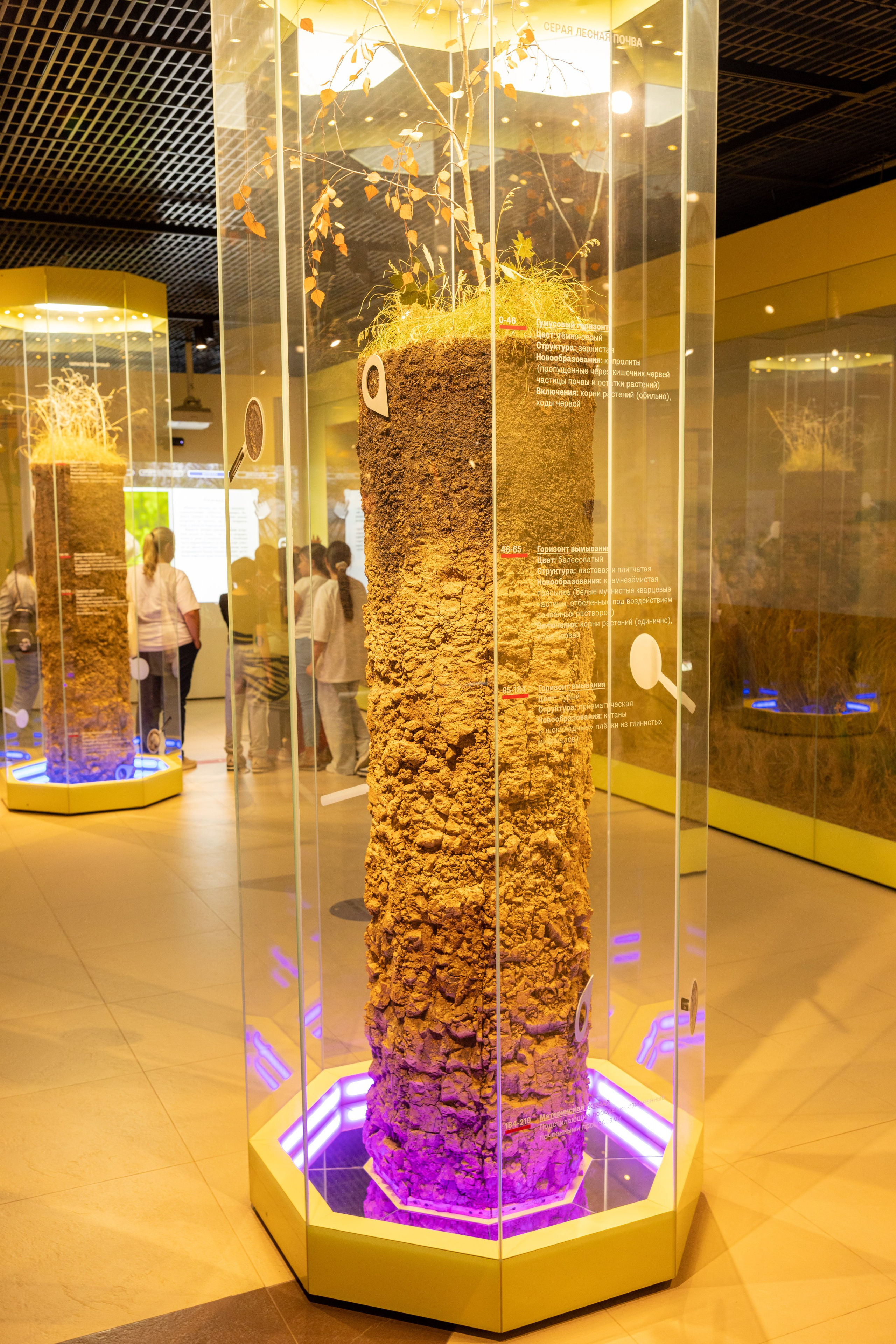 Поездка на поле Кулеково. Фотограф в Туле Крупский АнДРей. Фотостудия «КАДР71» в Туле