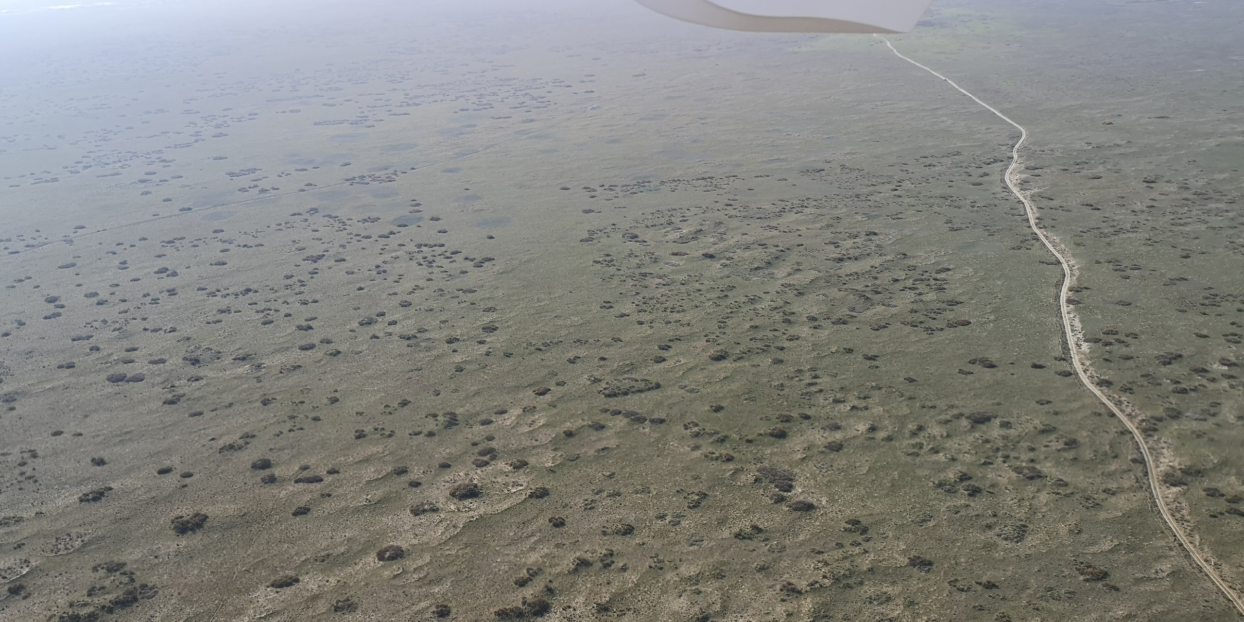 Каспийское море (наука на Ла-8) (2021 г.). Фотоальбом показывающий увлекательный мир авиации и мир медведей Андрея Иванова