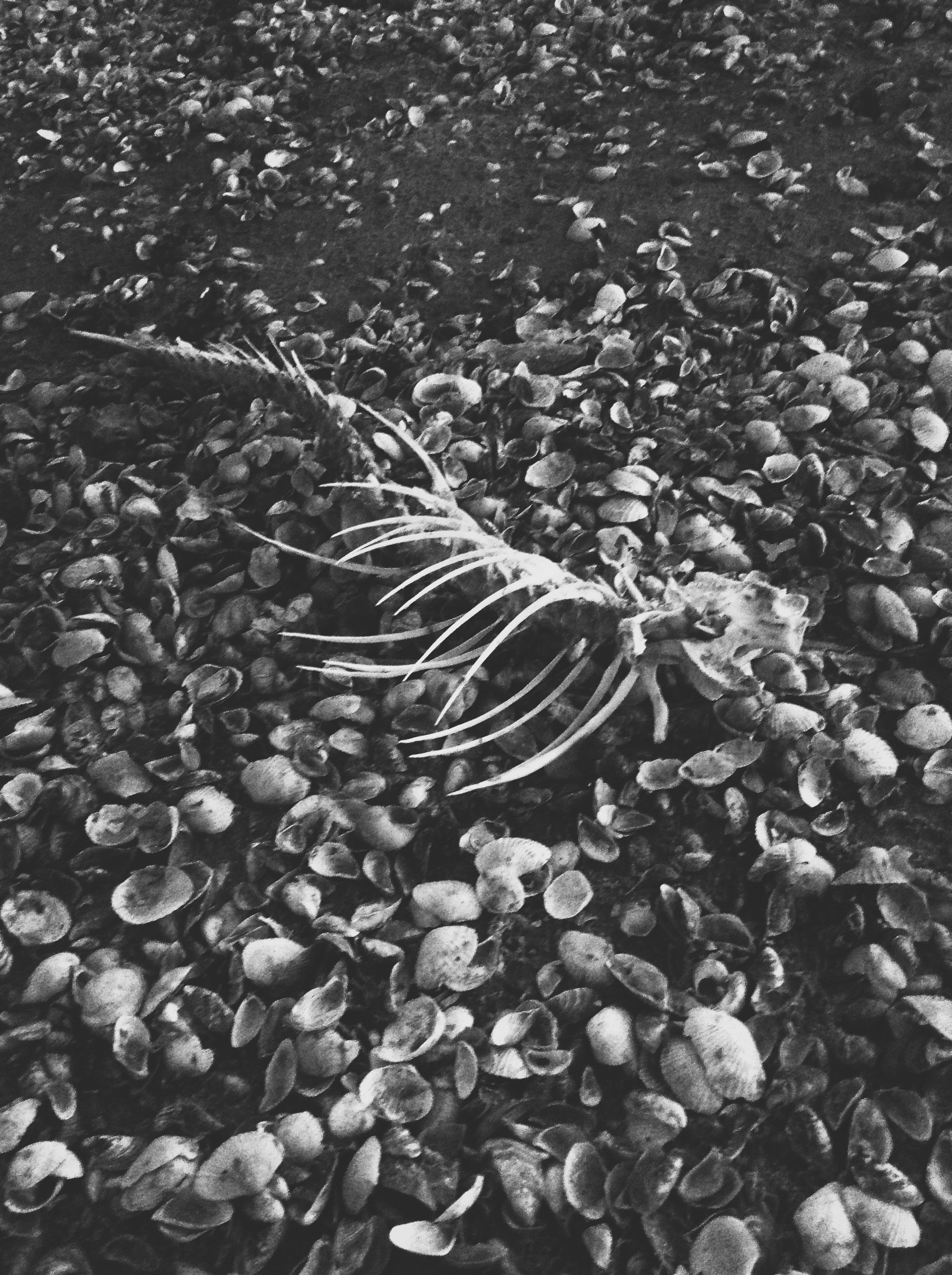 Визуальный дневник. Портретный фотограф в Москве Гахраманова Екатерина