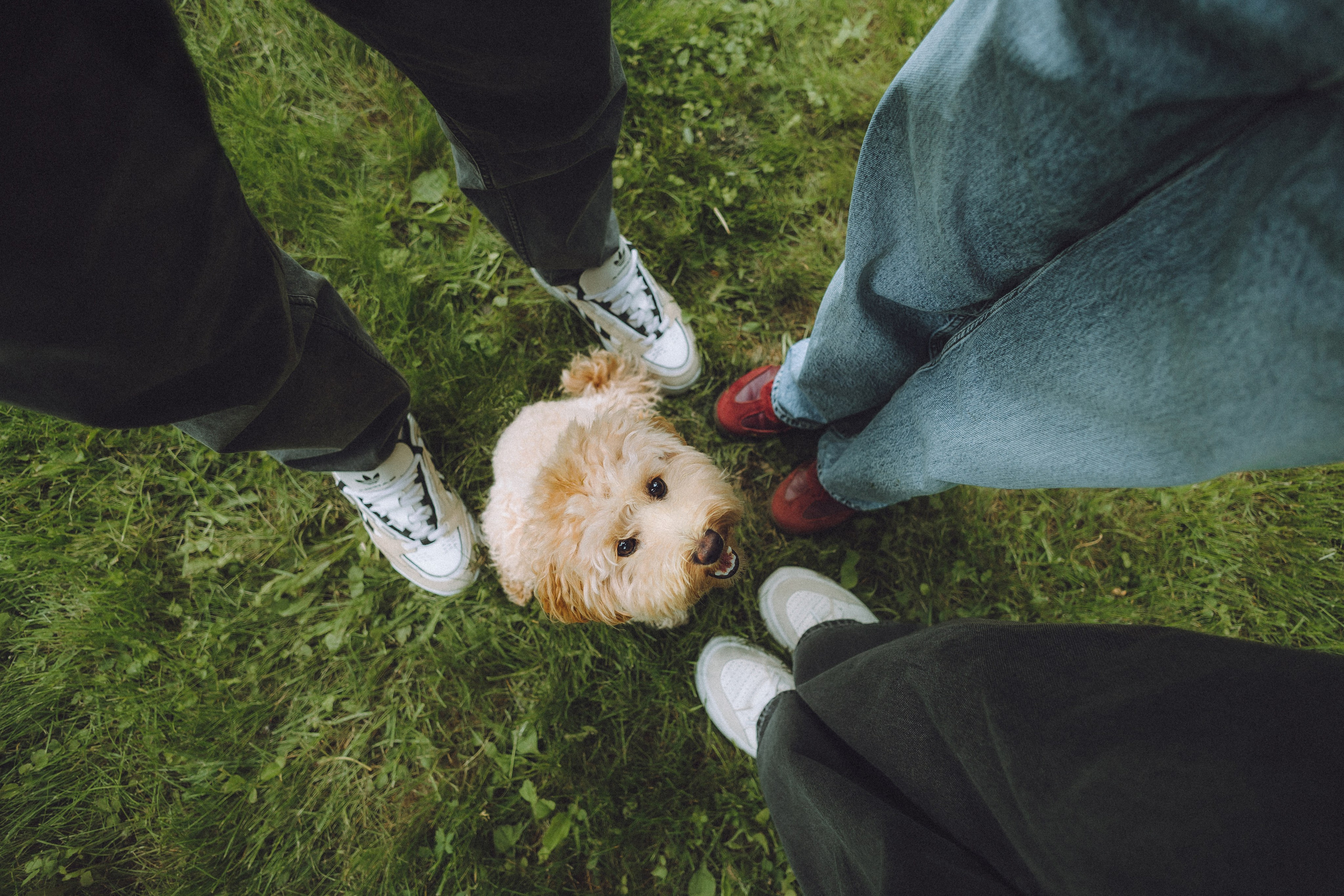 Фред и его семья