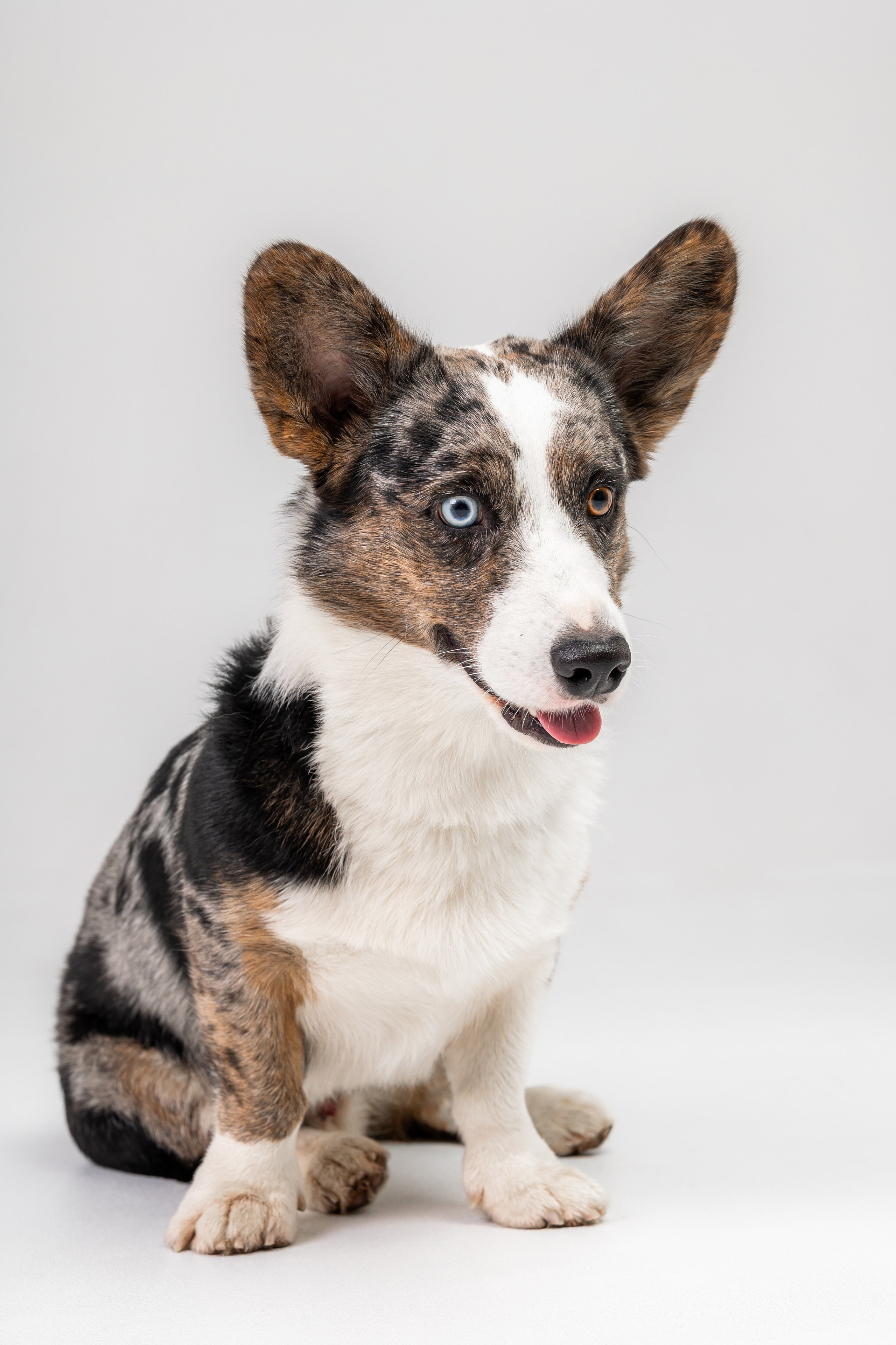 Анатолий и Рагнар