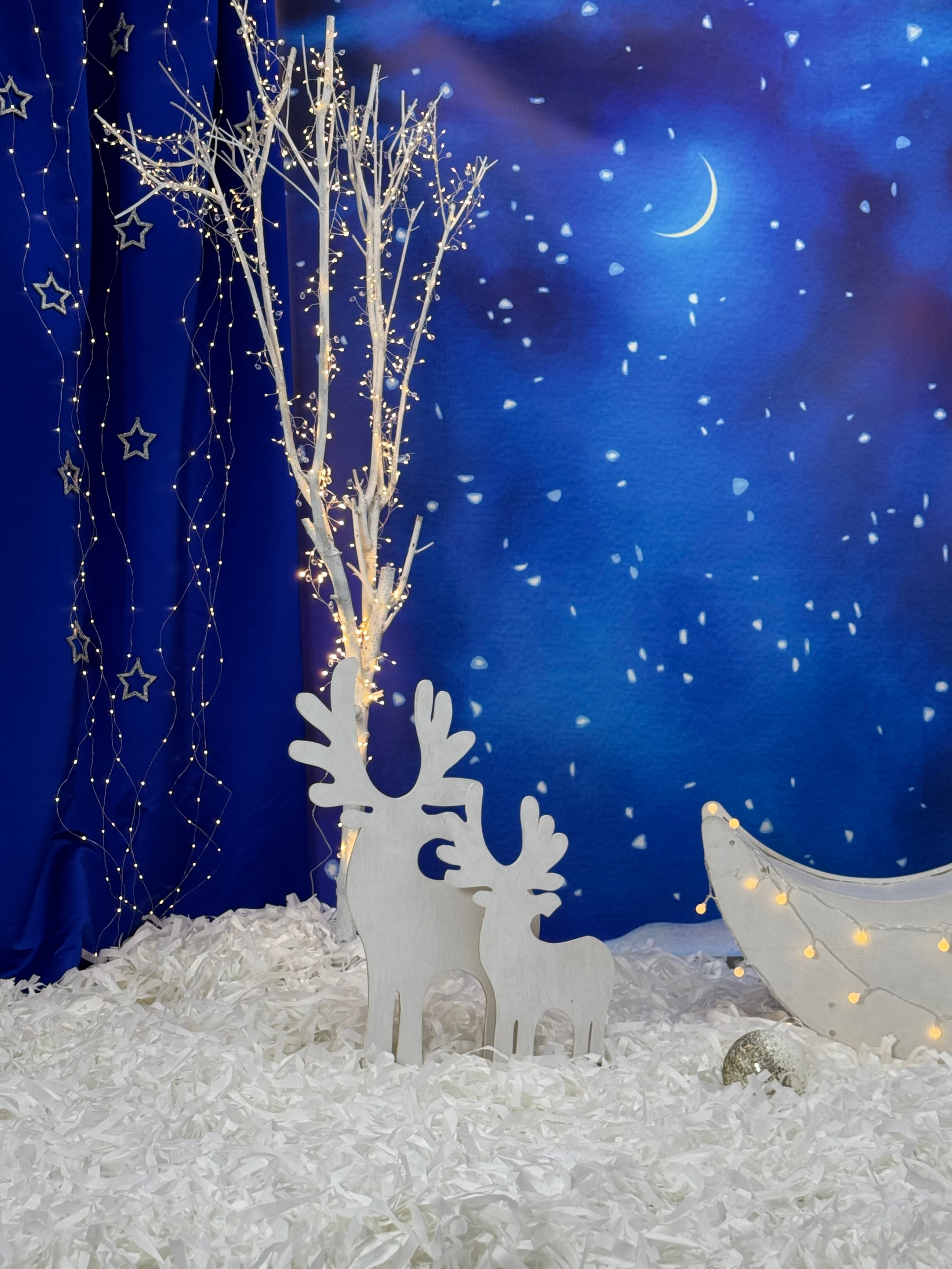 Зимняя сказка фото зона. Фотостудия