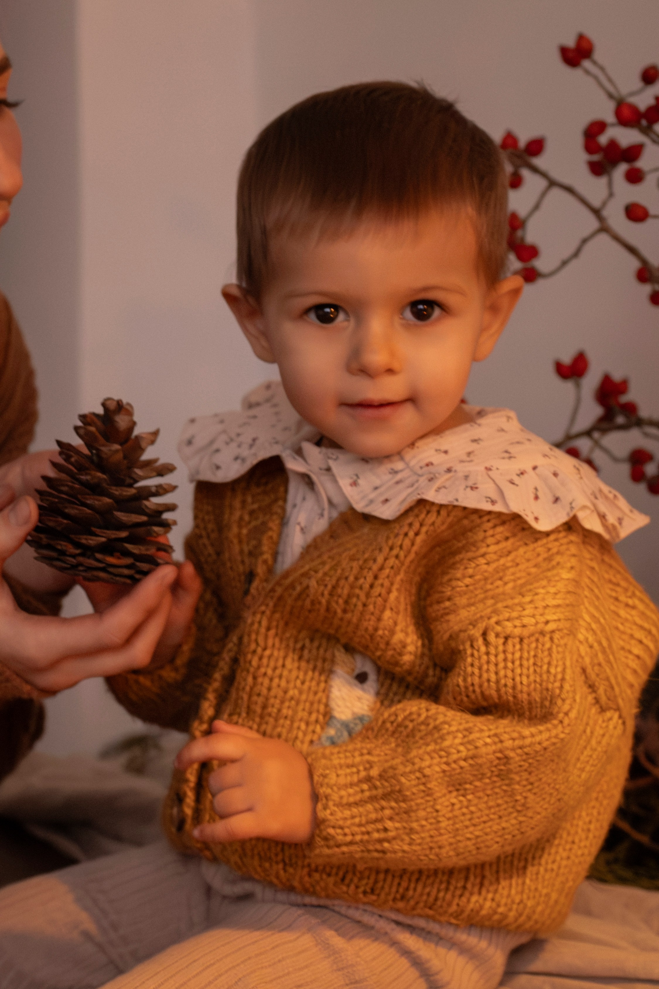 Новогодняя. Фотограф в Москве Киселева Екатерина