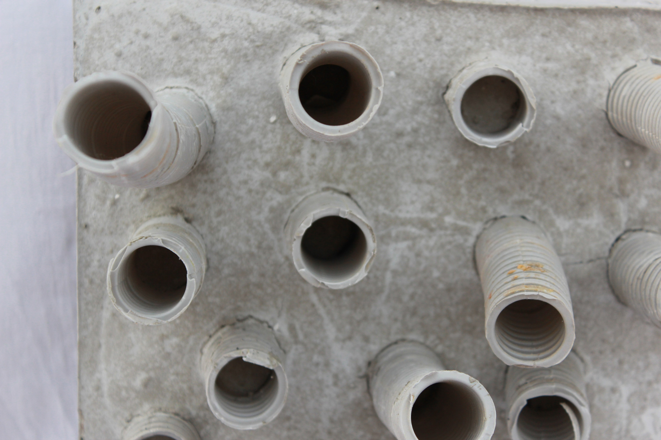 Лилия Ким. Междисциплинарный художник