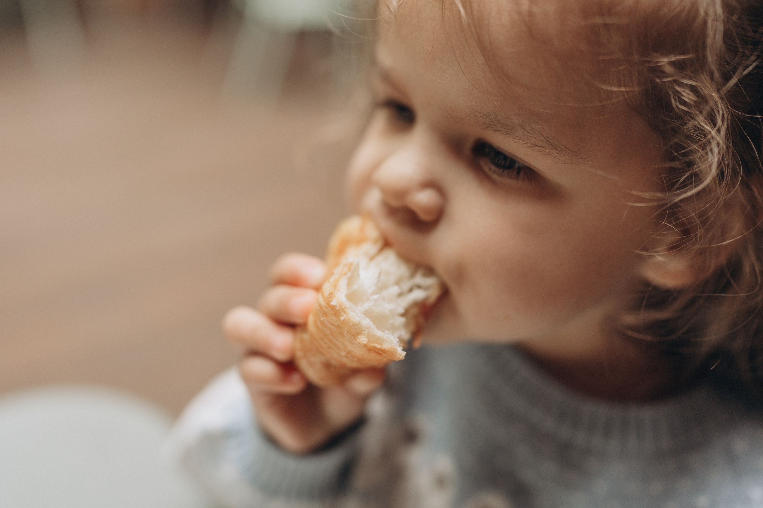 Лесная чайная. Семейный фотограф и видеограф в Москве