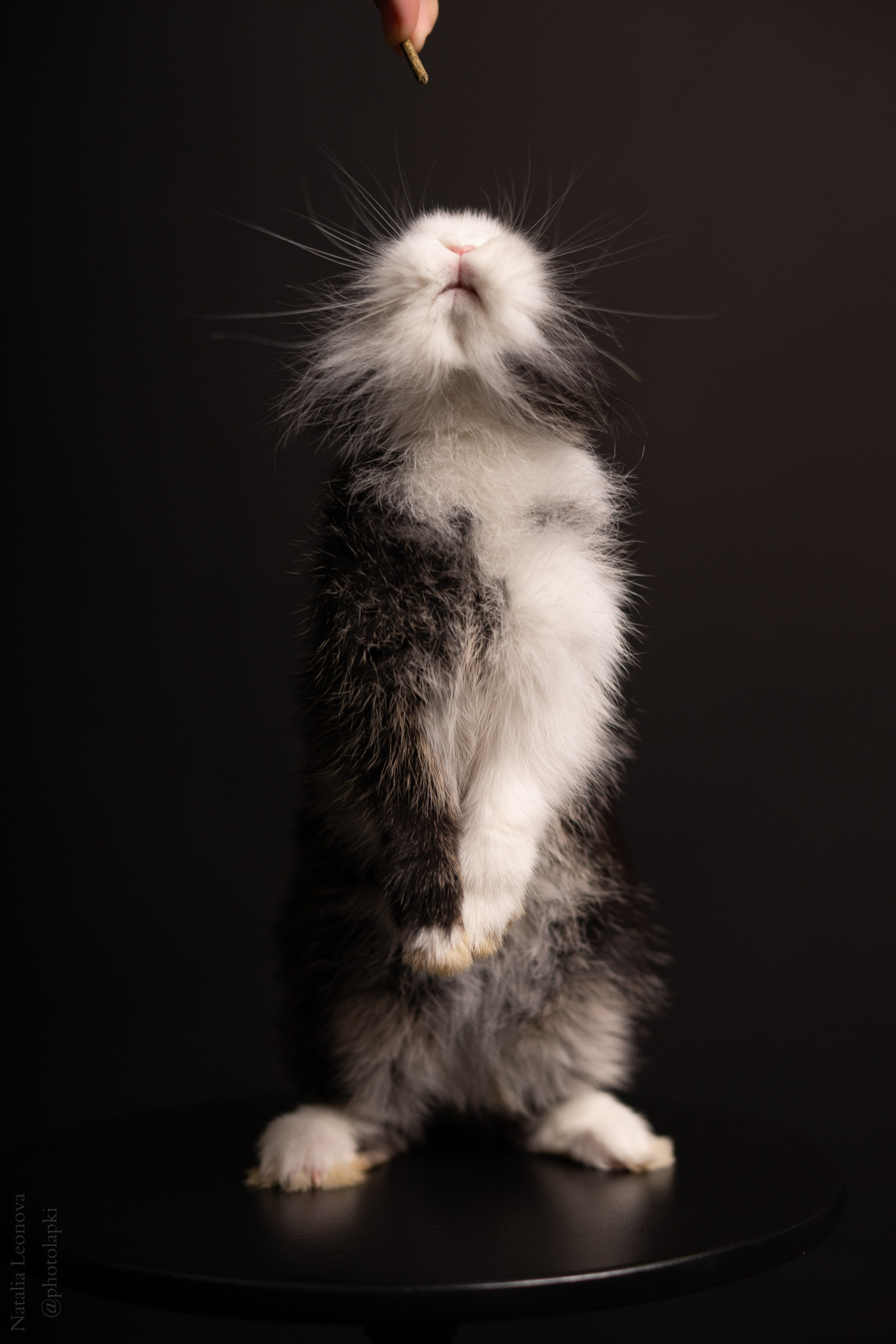 Сестры. Фотограф Наталья Леонова