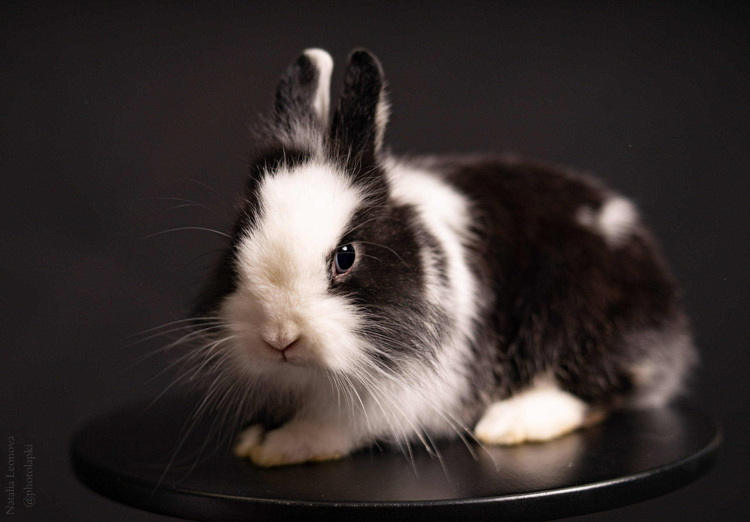 Сестры. Фотограф Наталья Леонова