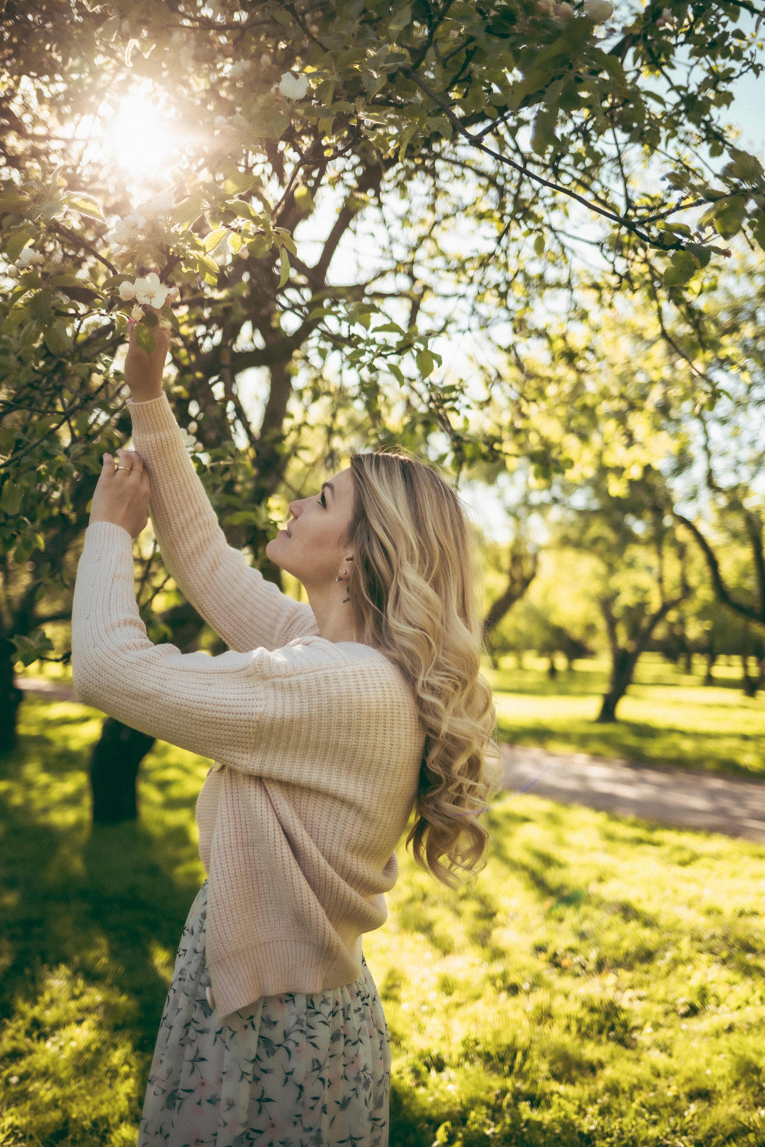 Девушка летняя красивая в яблоневом саду в Коломенском на закате 