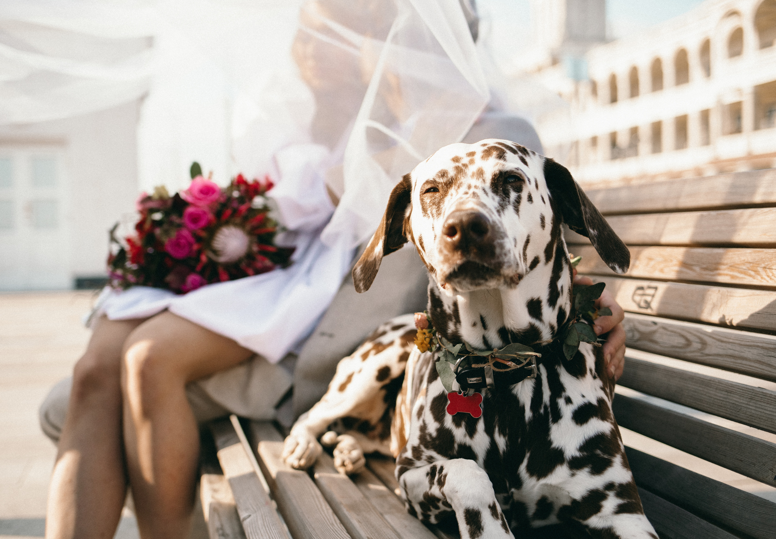 Романтика на Речном. Фотограф в Москве Алёна Гладкова