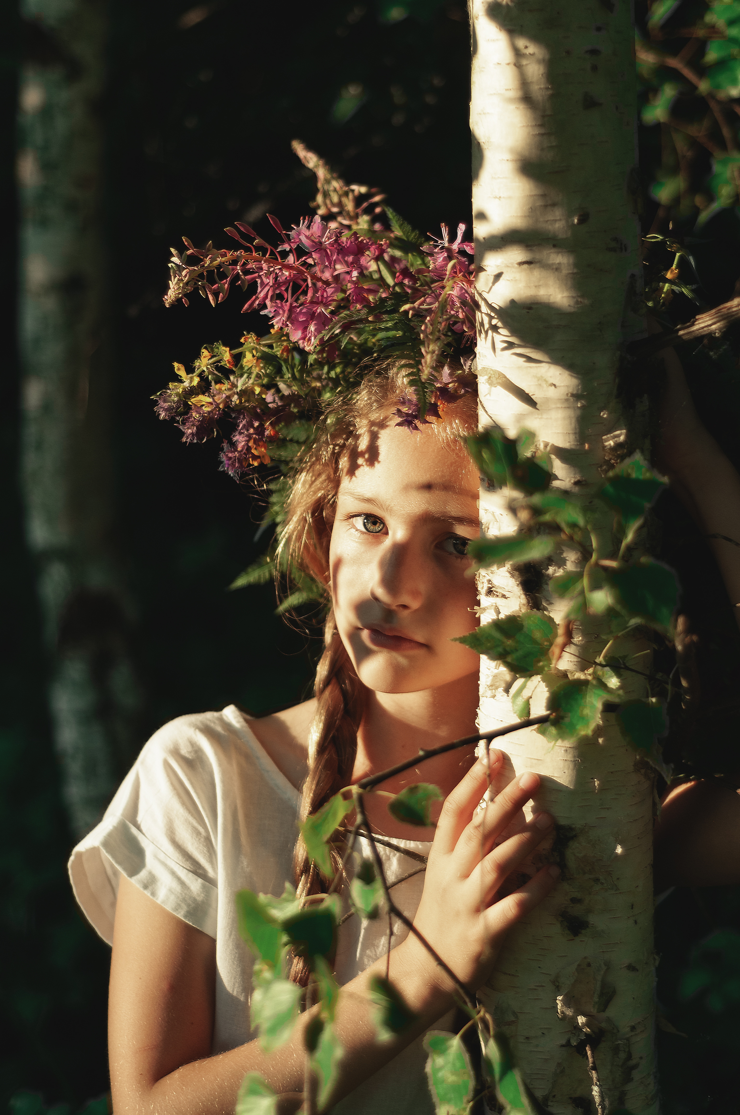 Лесная сессия